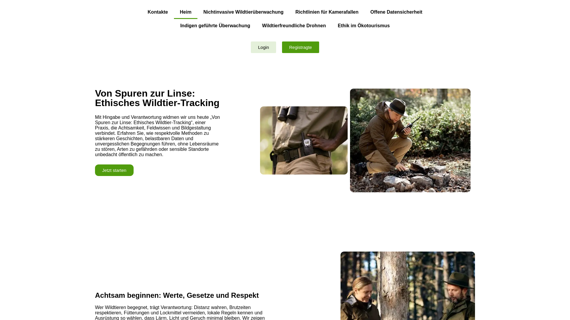 website screenshot of https://zeralorilentodexo.click