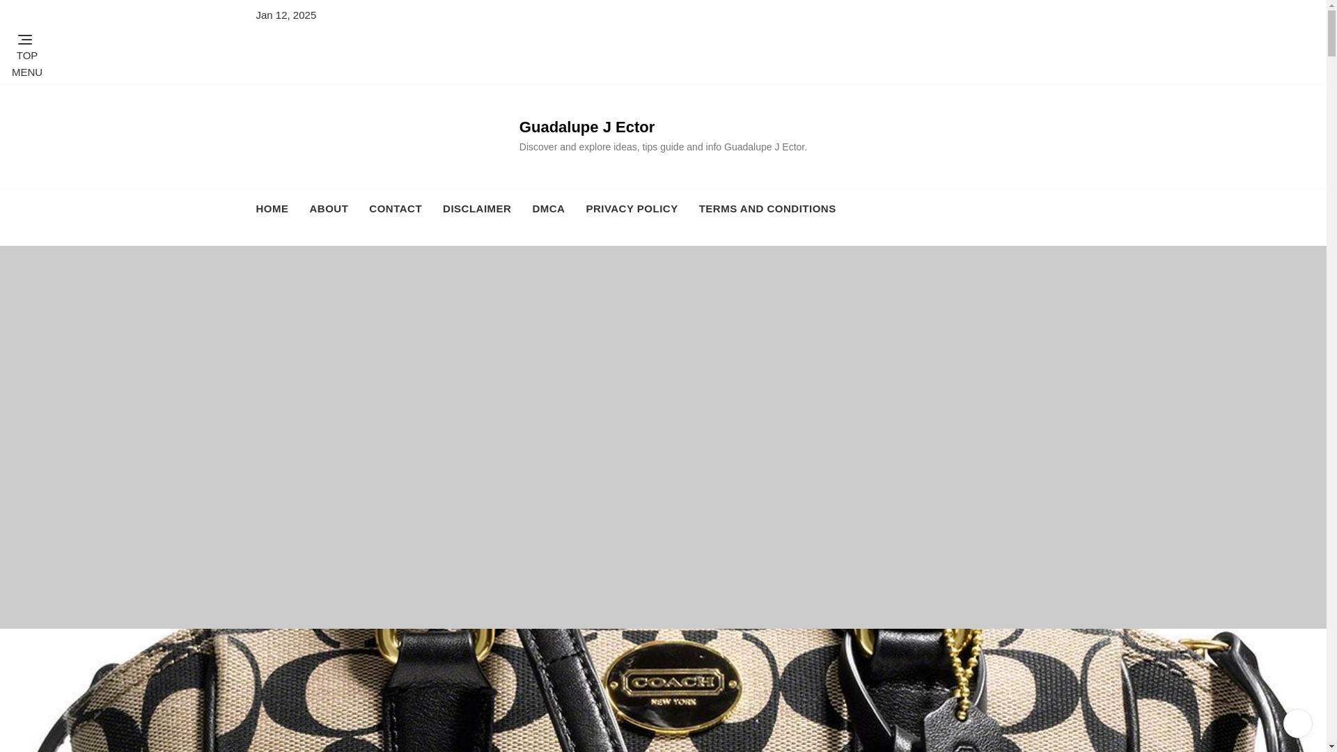 website screenshot of https://guadalupejectorc.pages.dev/