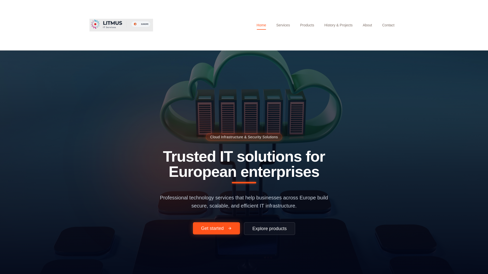 website screenshot of https://litmusit.eu/