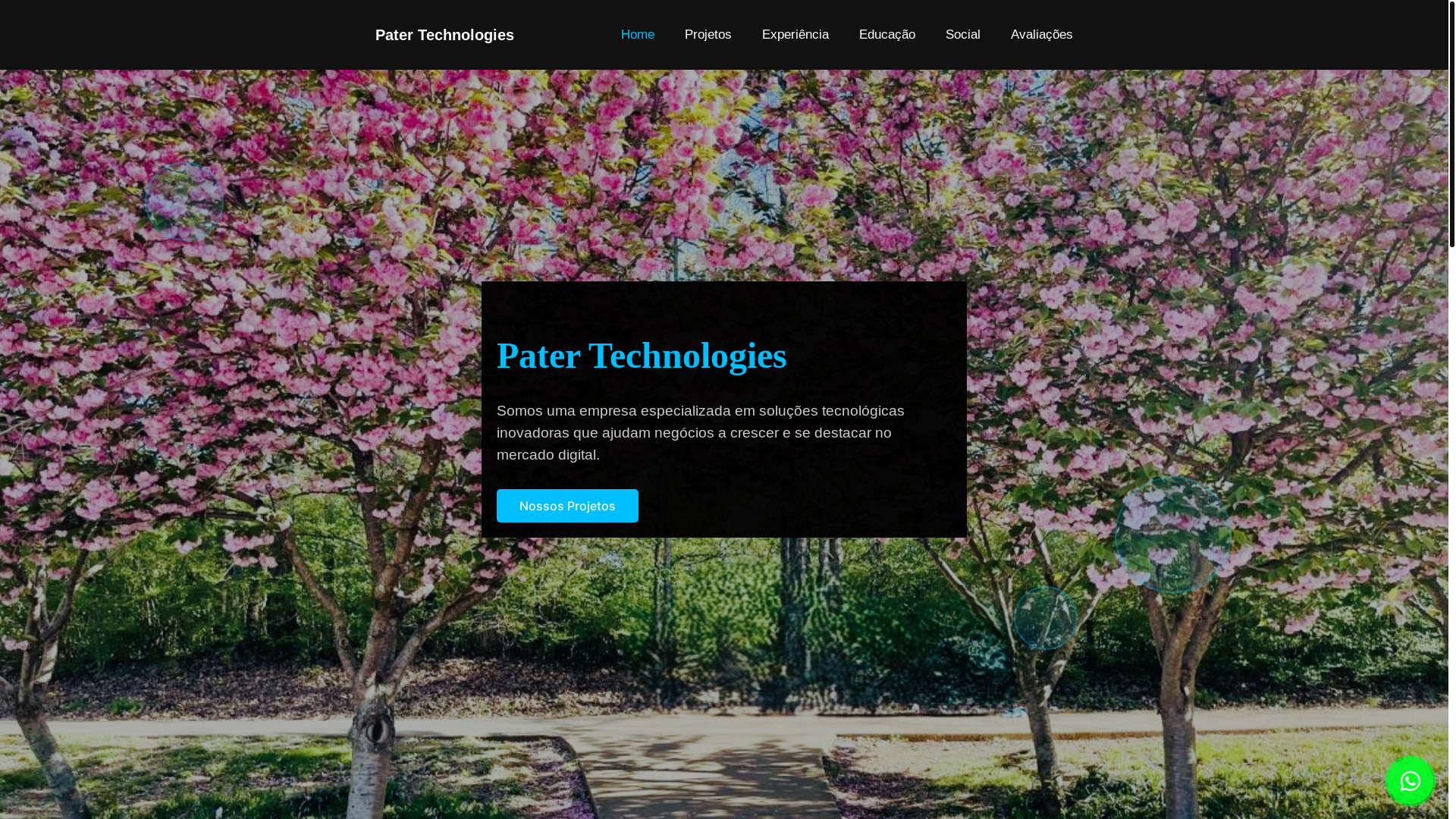 website screenshot of https://patertechnologies.com.br/