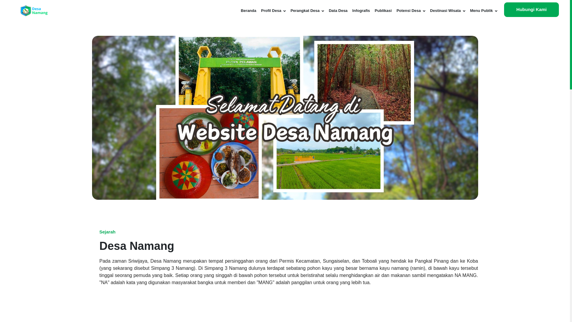website screenshot of https://desanamang.my.id/
