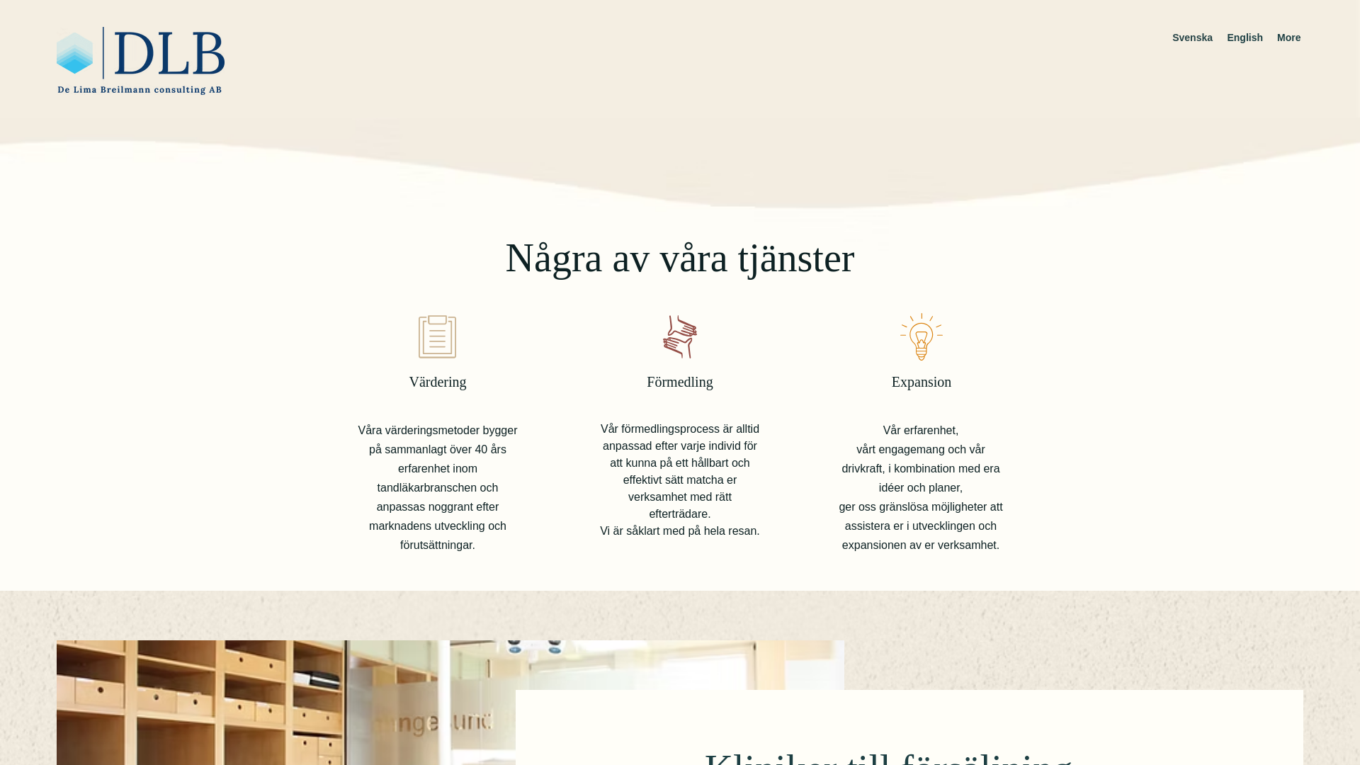 website screenshot of https://dlbconsulting.se/