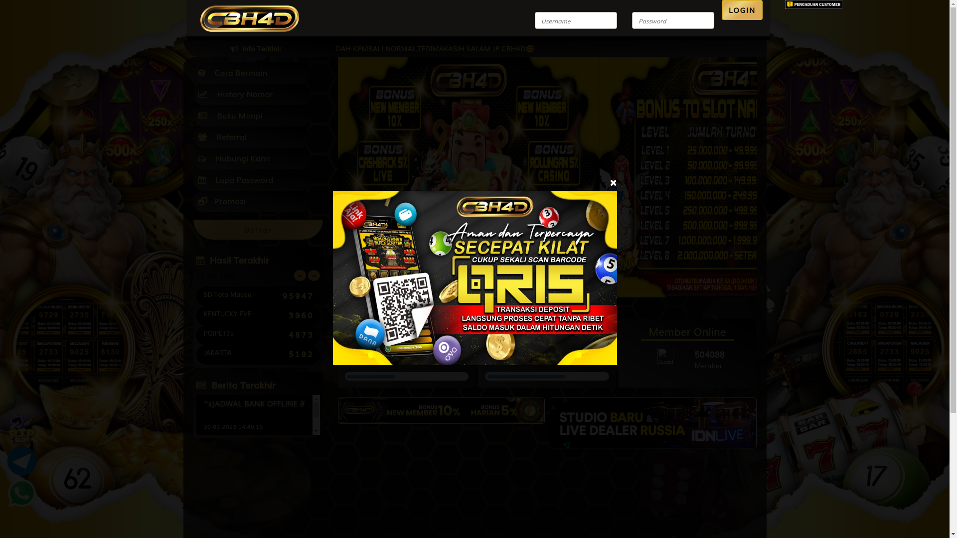 website screenshot of https://cbhunik.site/