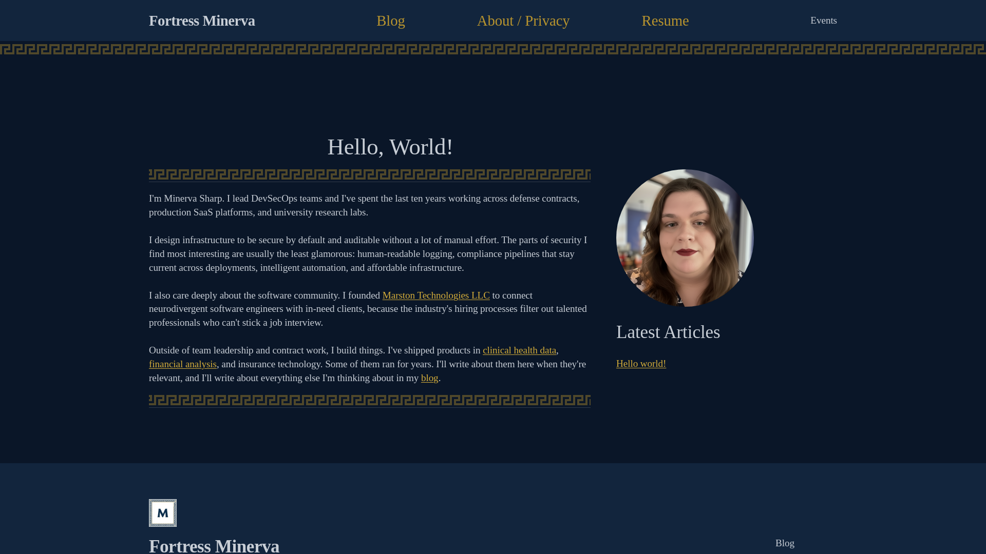 website screenshot of https://minervasharp.com/