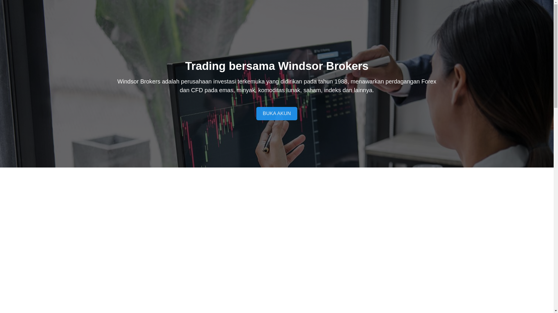 website screenshot of https://windsorbrokers.site/