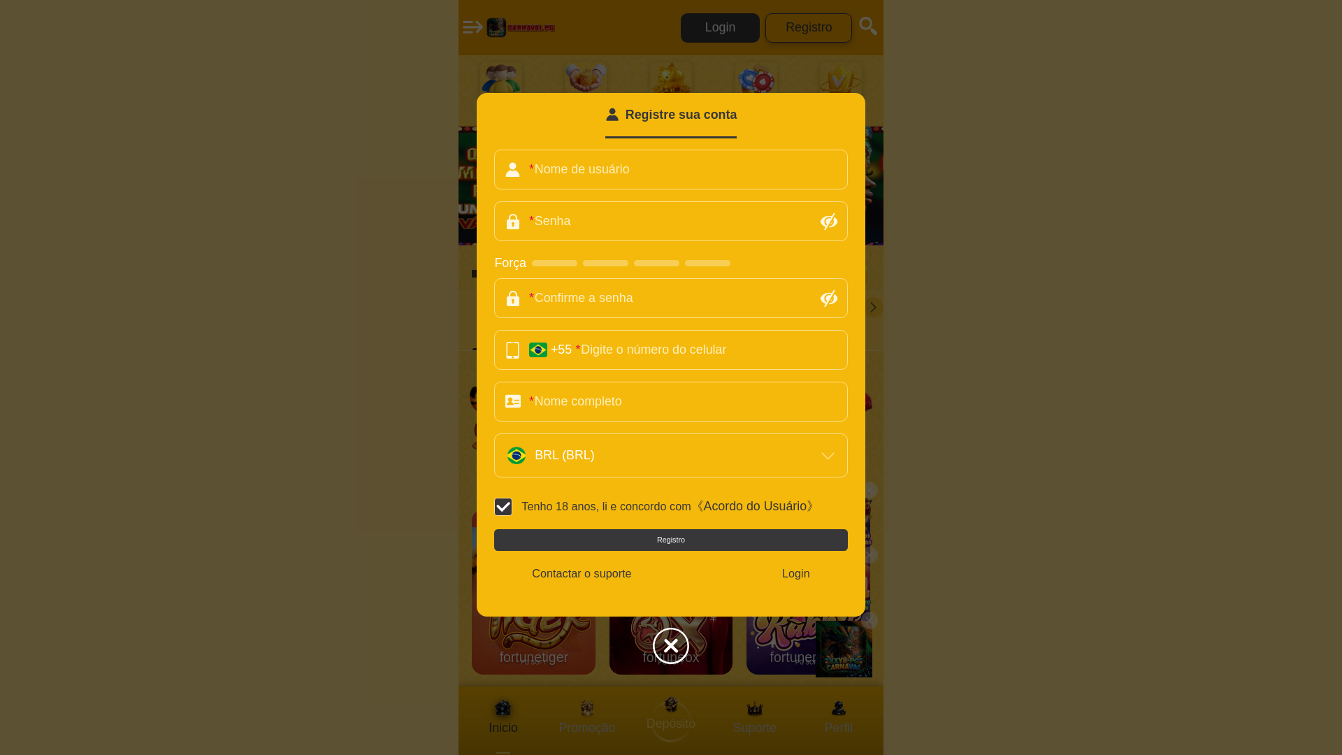 website screenshot of https://xxy8-carnaval.com/