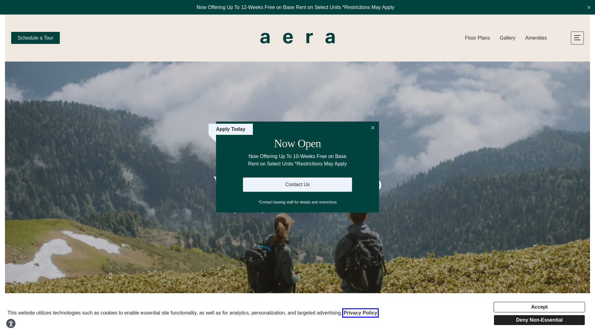 website screenshot of https://aerarino.com/