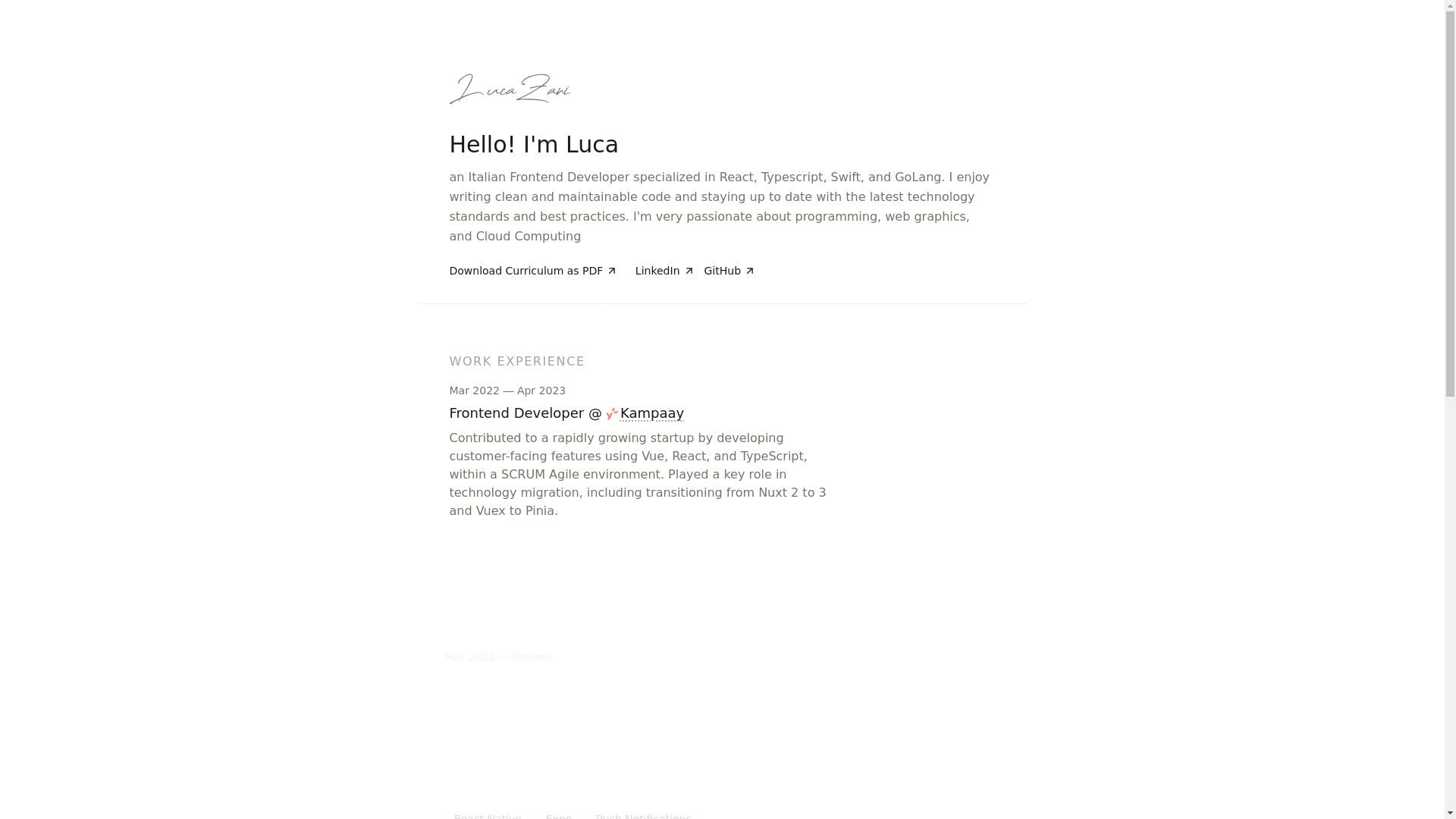 website screenshot of https://zaniluca.pages.dev/