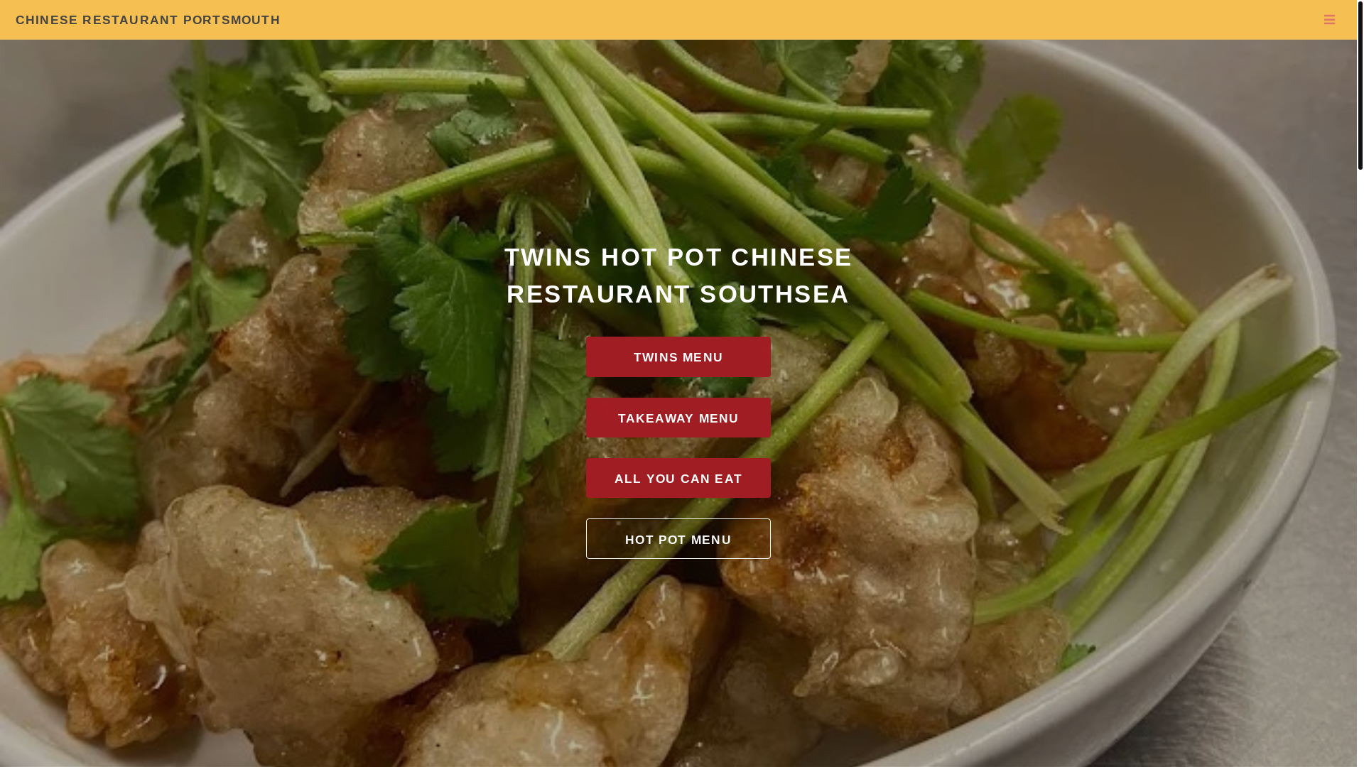 website screenshot of https://twinschineseportsmouth.co.uk/
