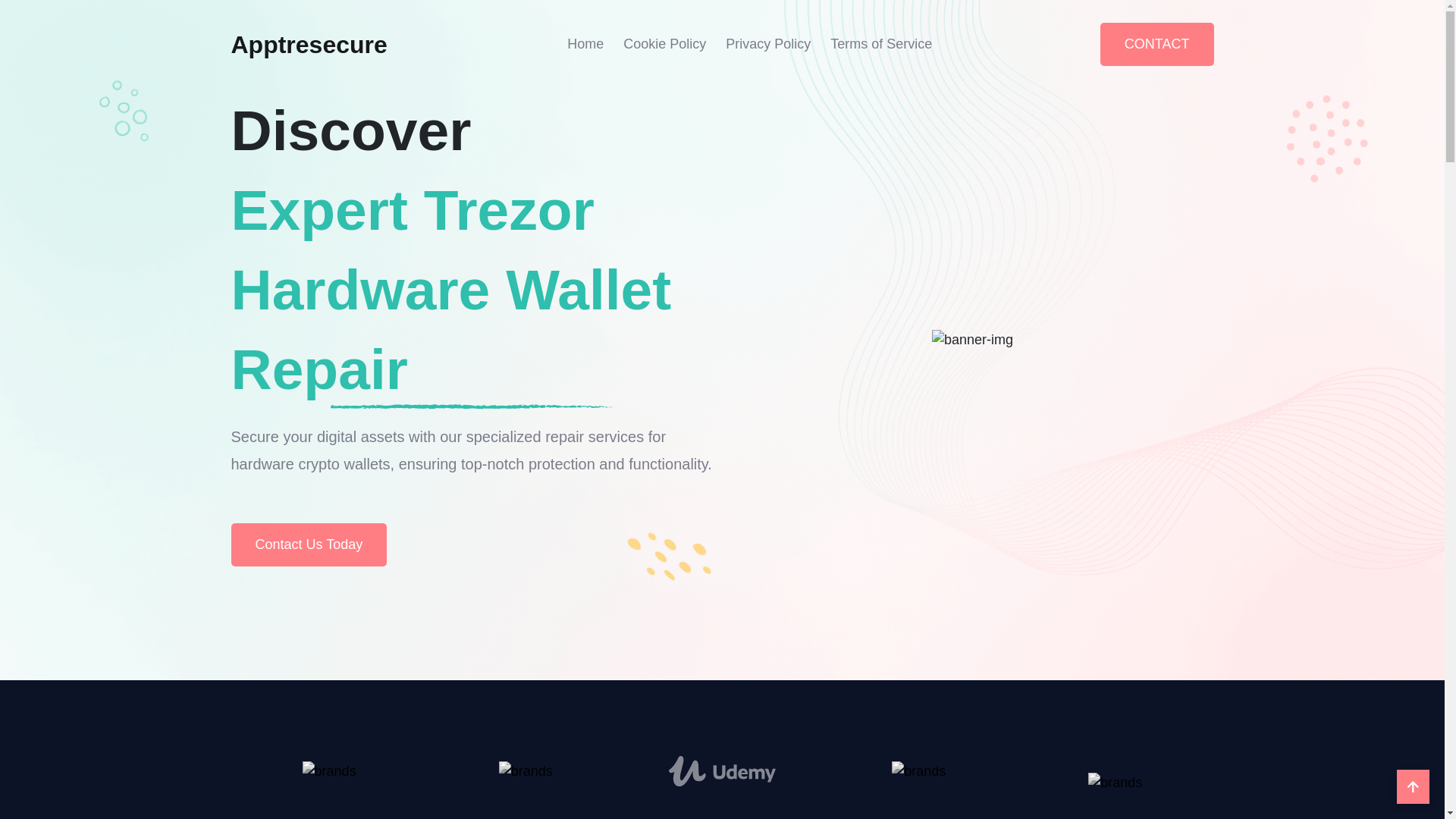 website screenshot of https://apptresecure.com/