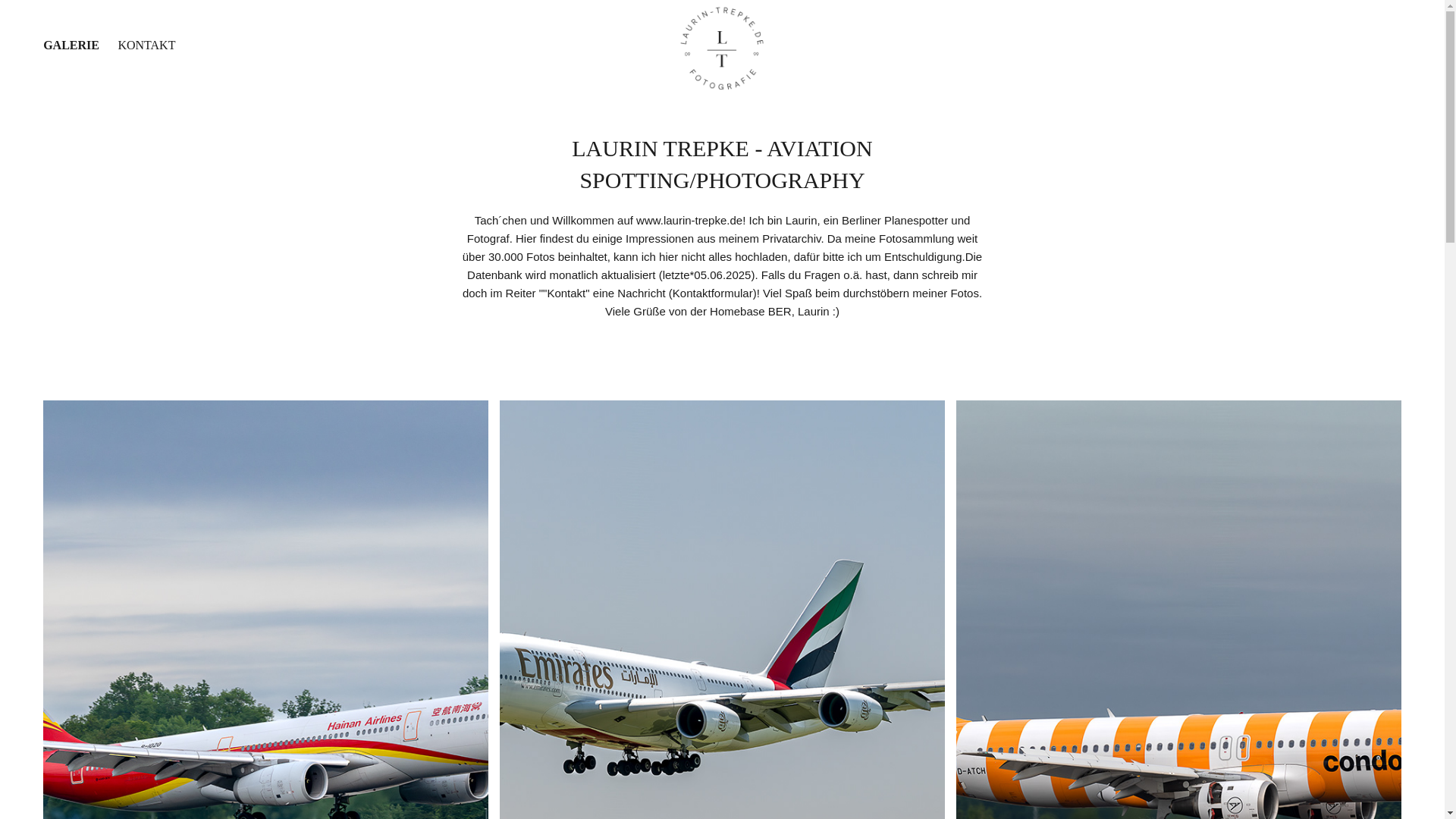 website screenshot of https://laurin-trepke.de/