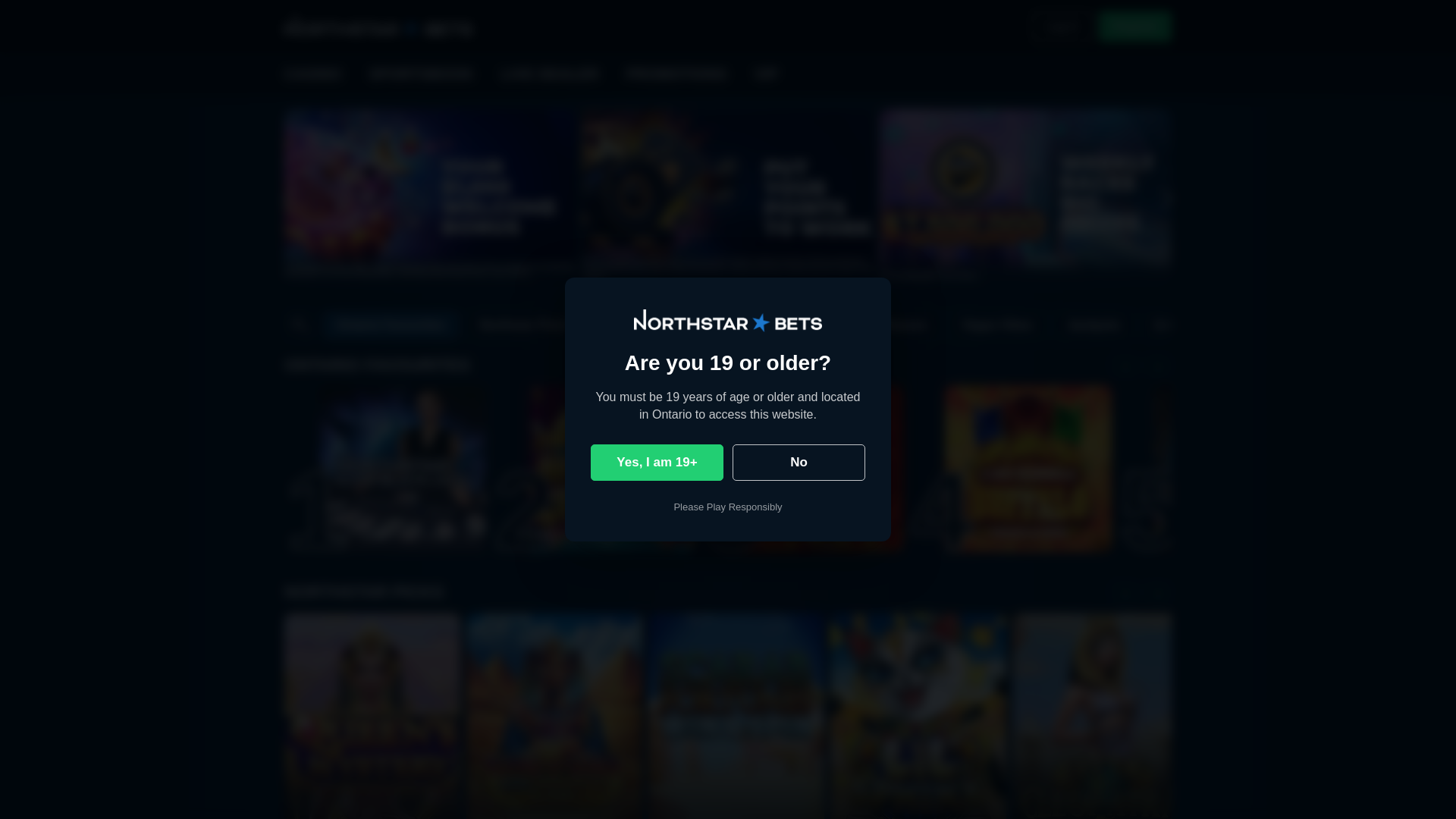 website screenshot of https://northstarbets.co/