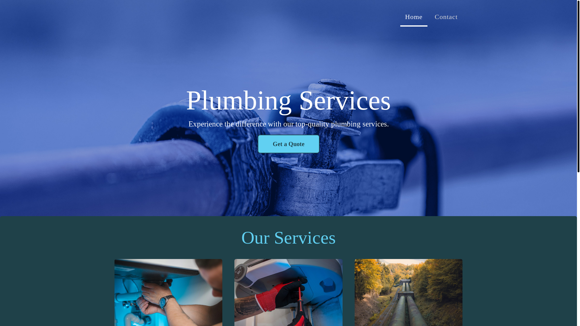 website screenshot of https://flemmingservices.com/