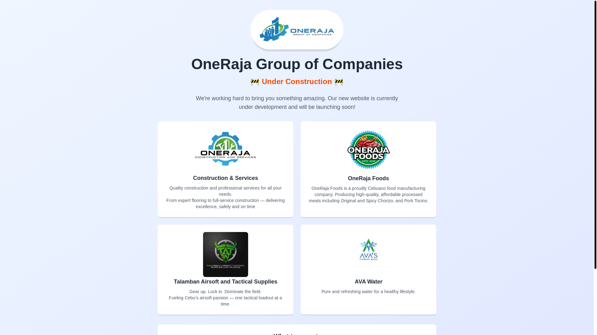 website screenshot of https://onerajagroup.com/