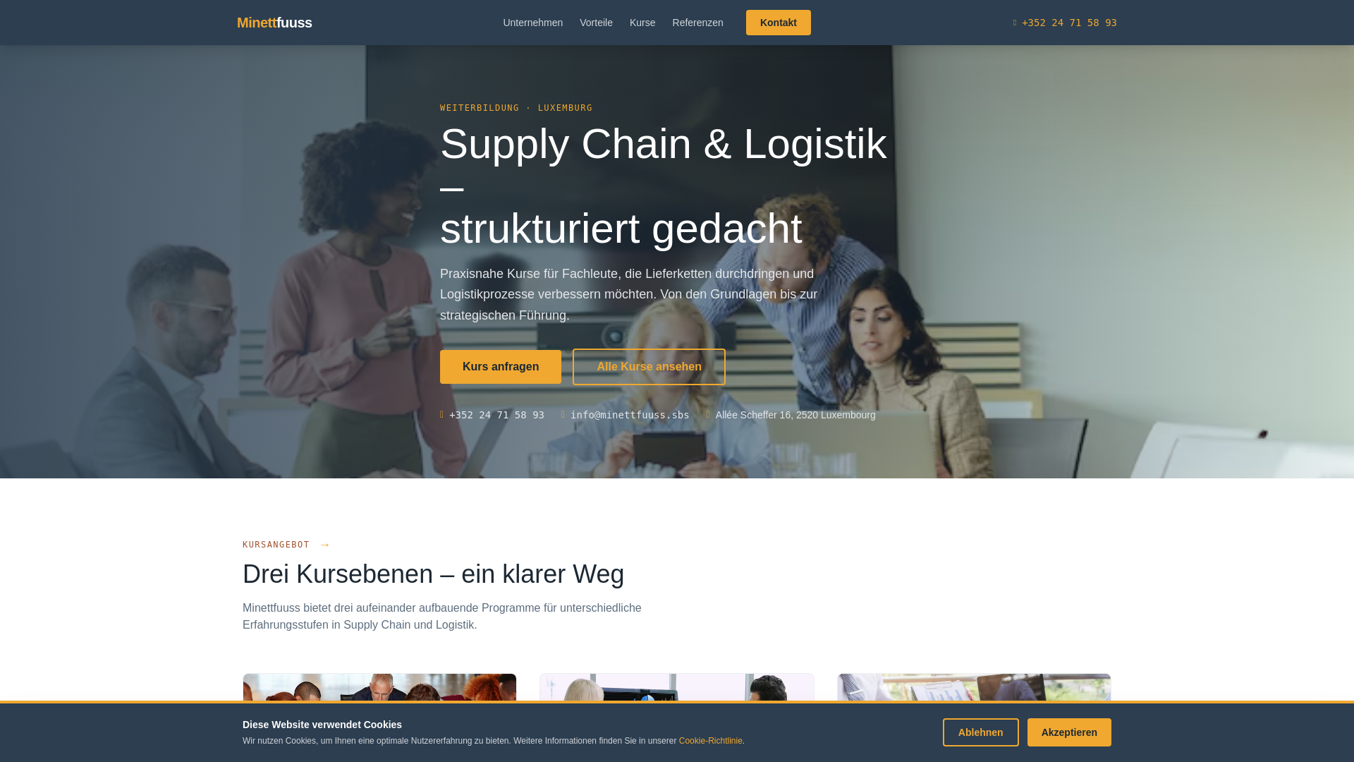 website screenshot of https://minettfuuss.sbs
