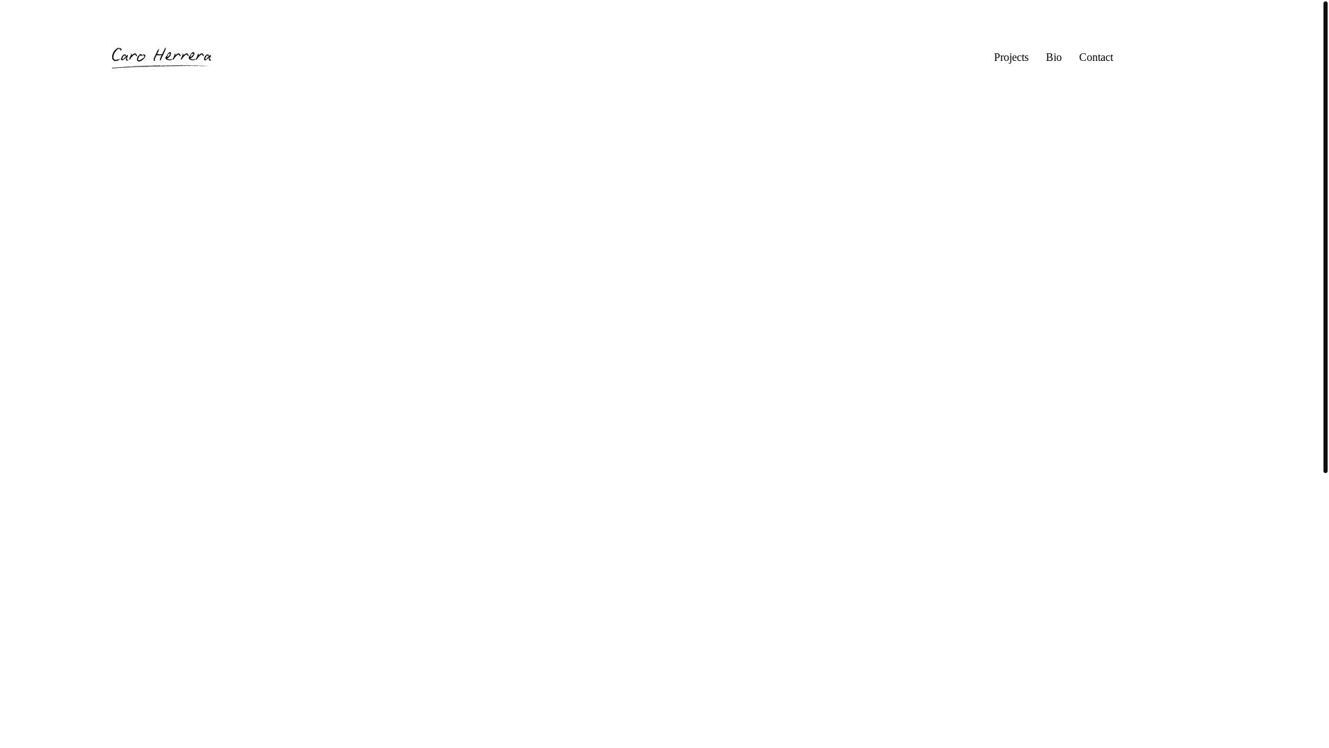 website screenshot of https://caherrera.com/