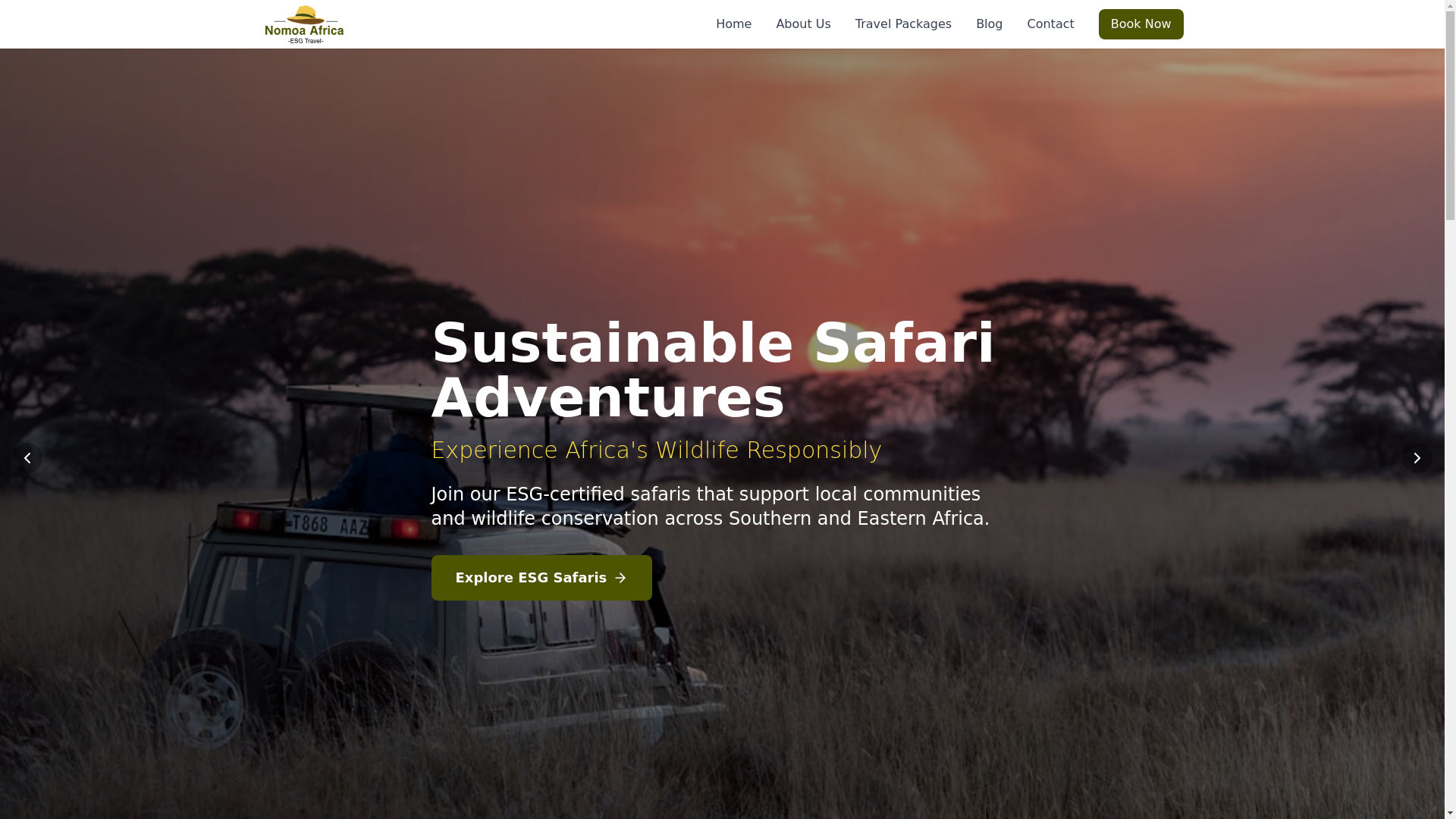 website screenshot of https://nomoaafrica.com/