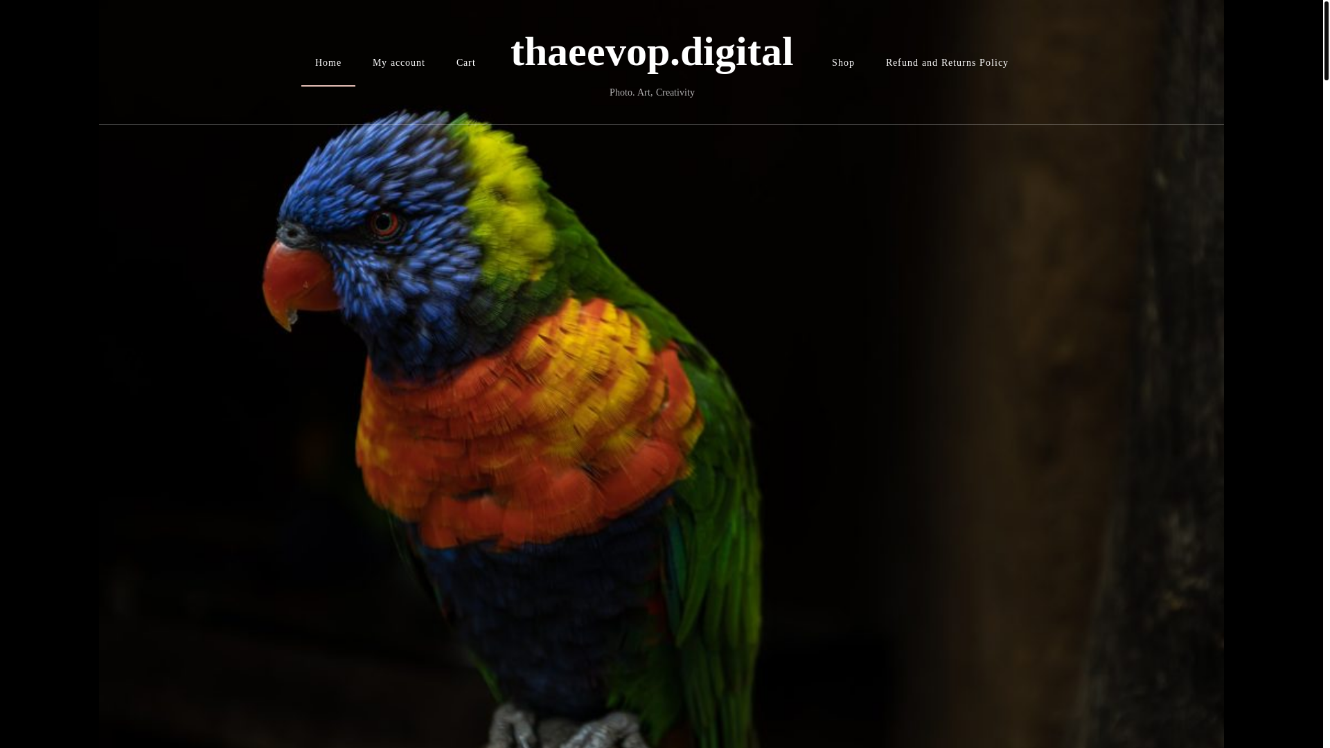 website screenshot of https://thaeevop.digital/