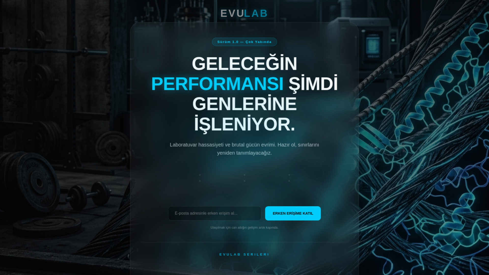 website screenshot of https://evulab.pages.dev/