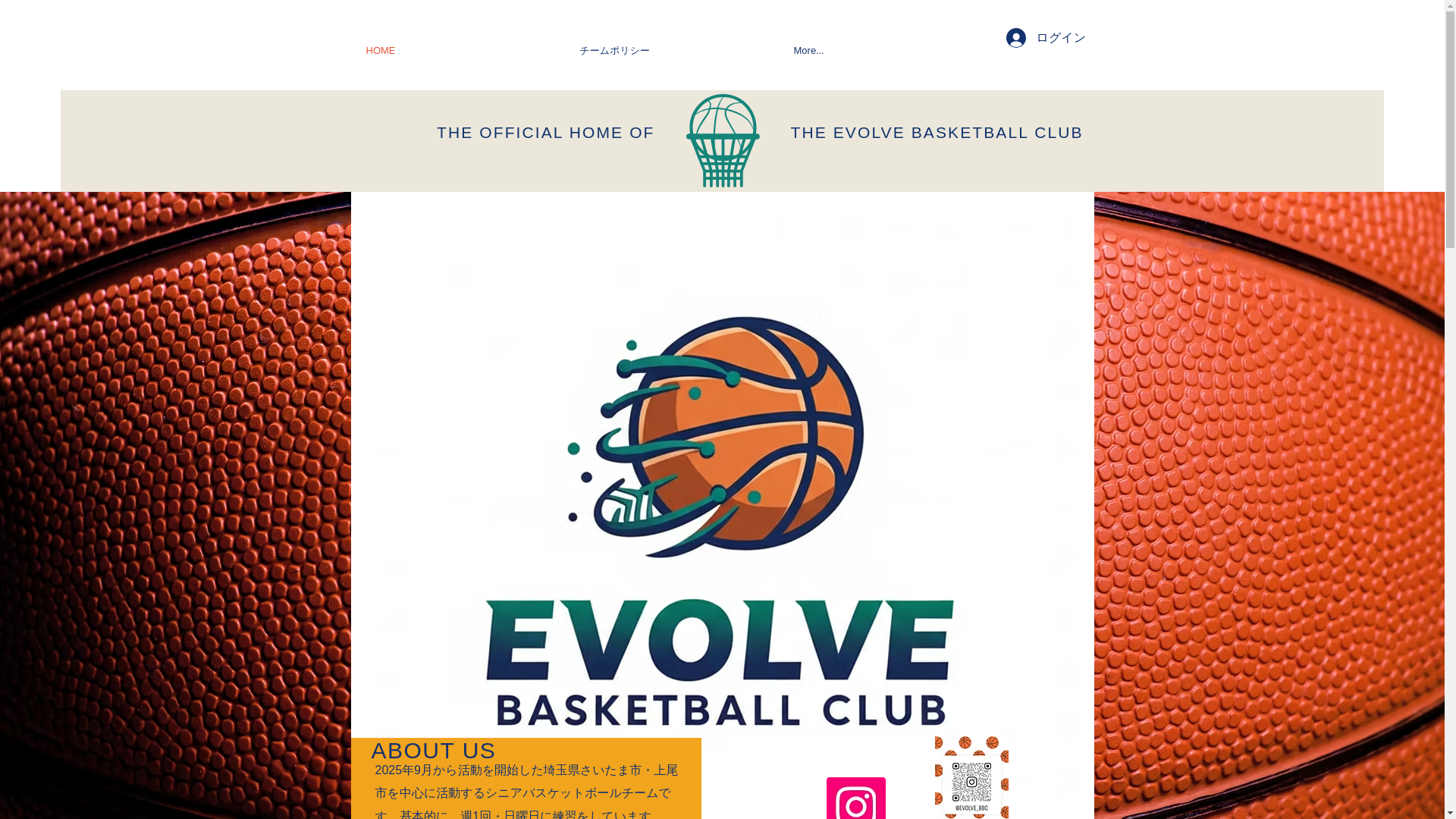 website screenshot of https://evolve2025.com/