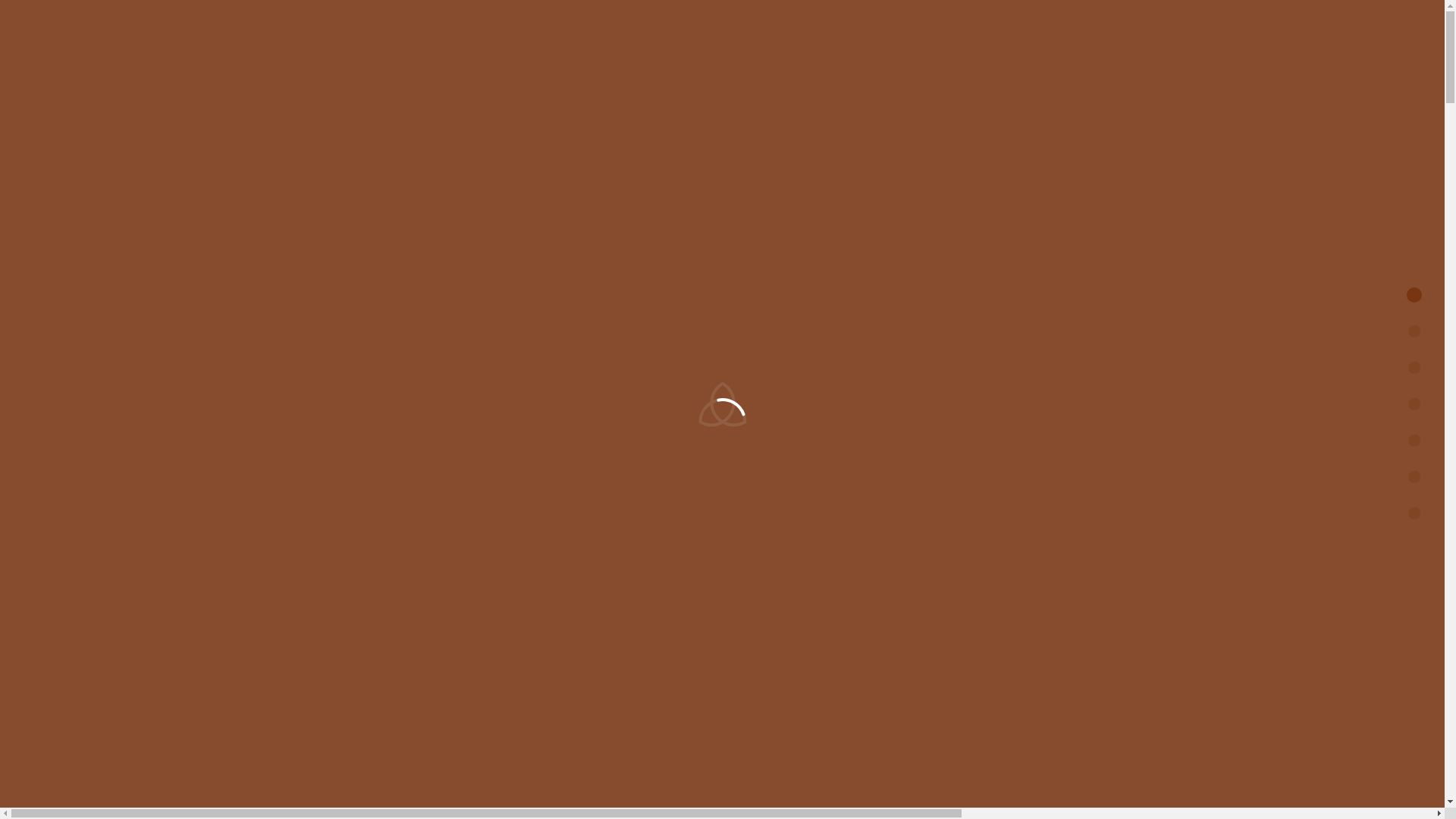 website screenshot of https://davidnadja.com/
