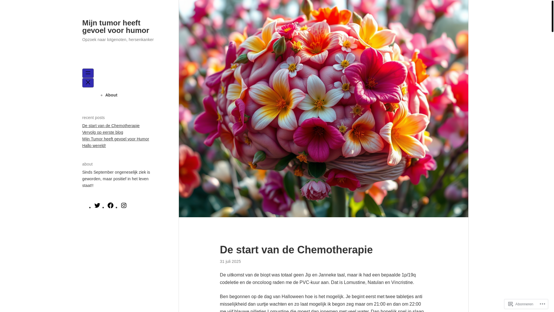 website screenshot of https://mijntumorheeftgevoelvoorhumor.com/