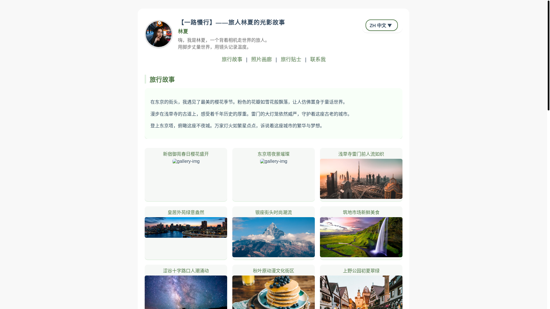 website screenshot of https://travel-site-dvz.pages.dev/