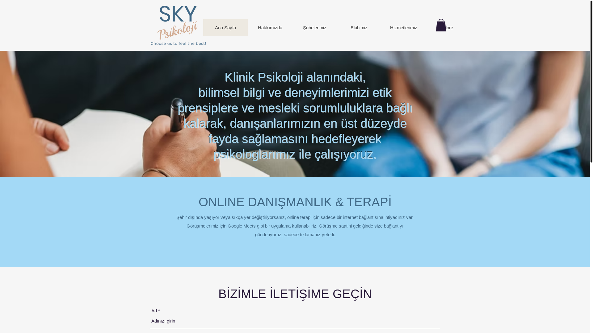 website screenshot of https://umutalicanoktem.com/