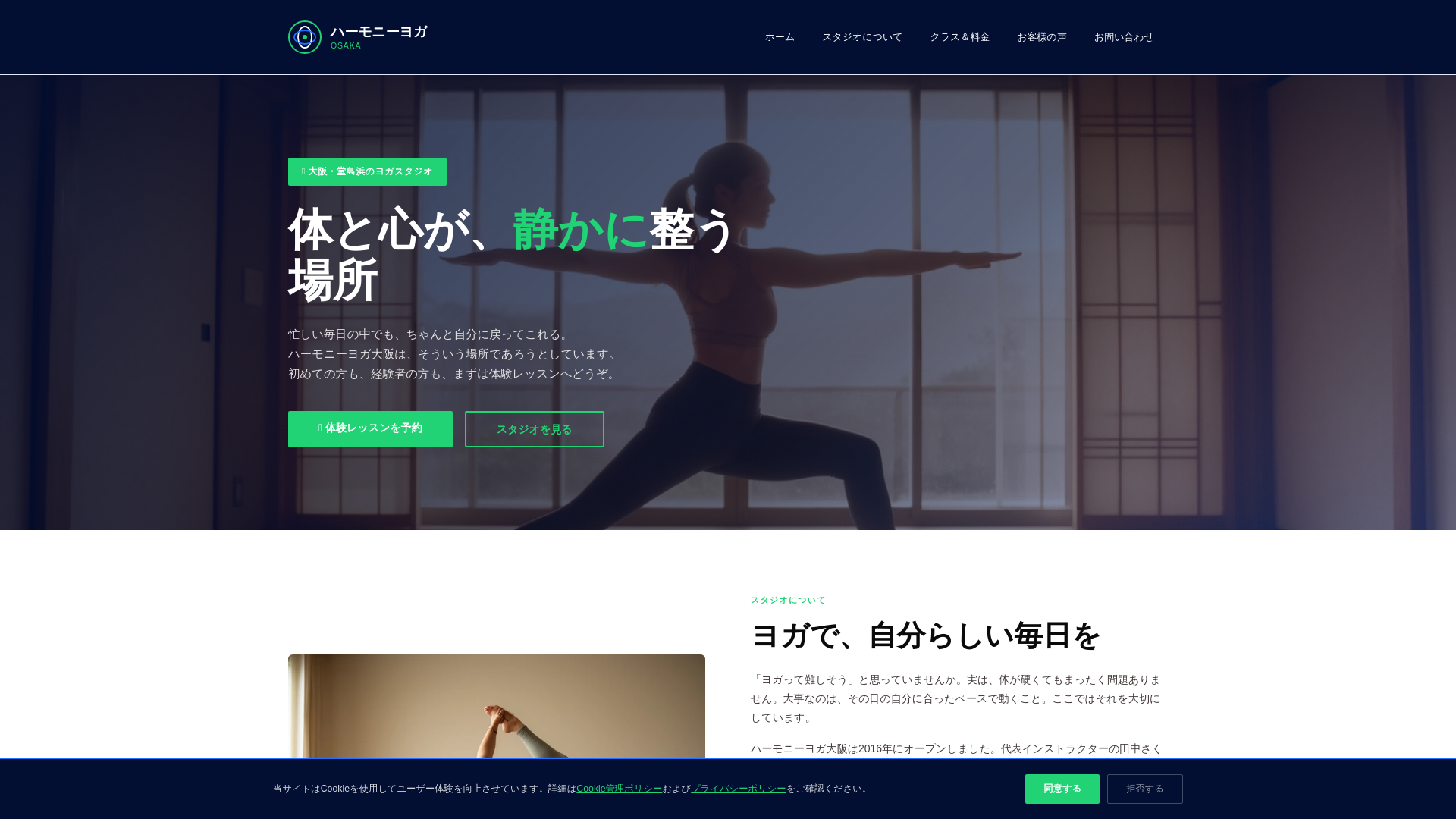 website screenshot of https://macilentstudio.digital