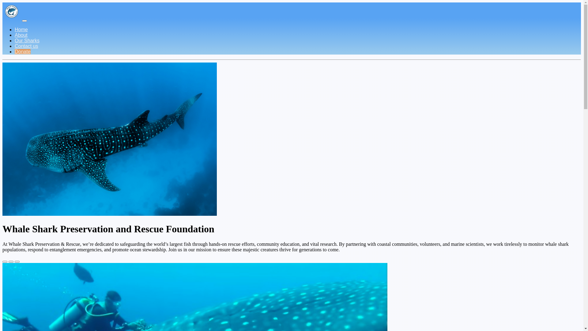 website screenshot of https://whalesharkfoundation.pages.dev/