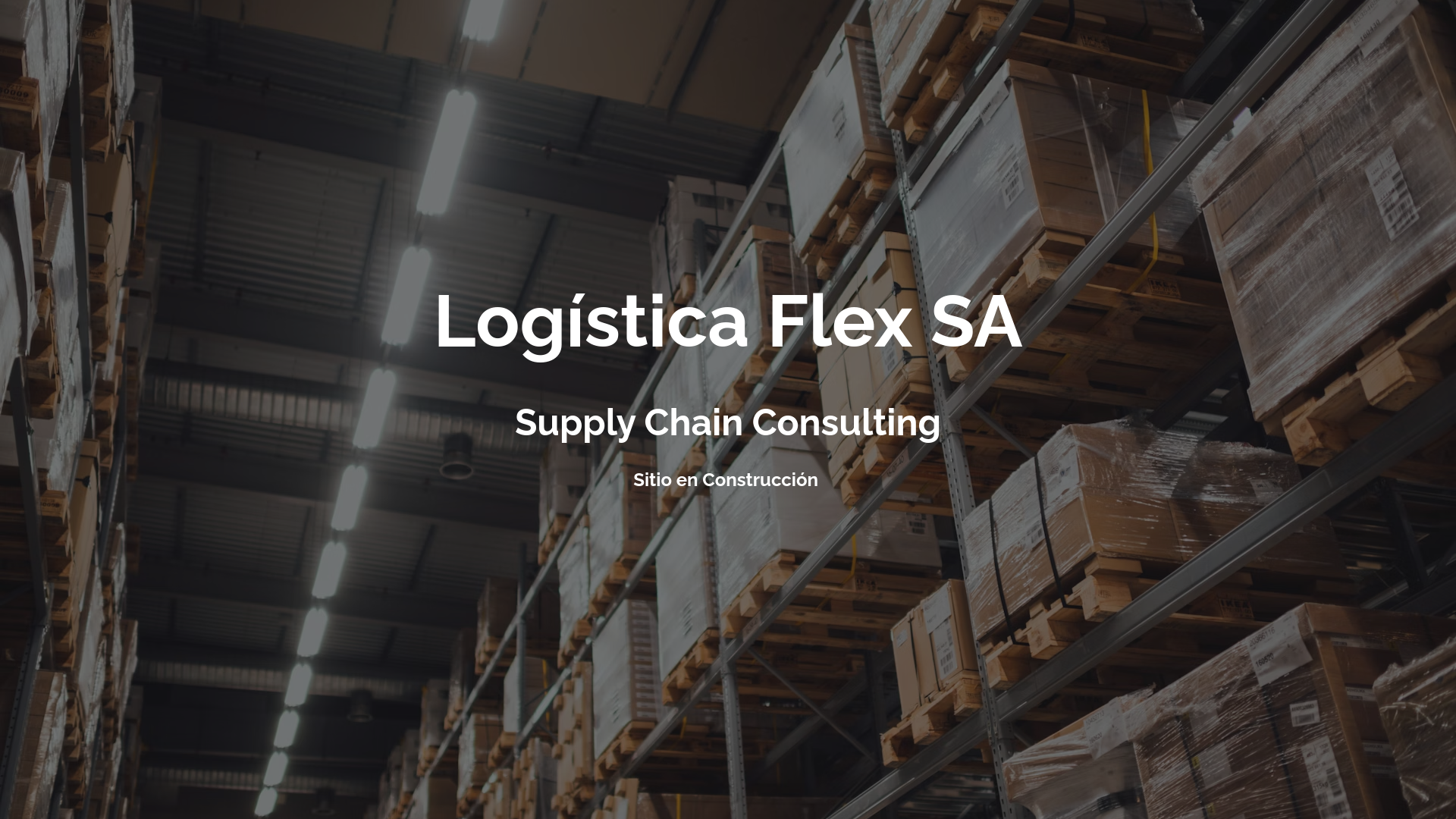 website screenshot of https://logisticaflexsa.com/