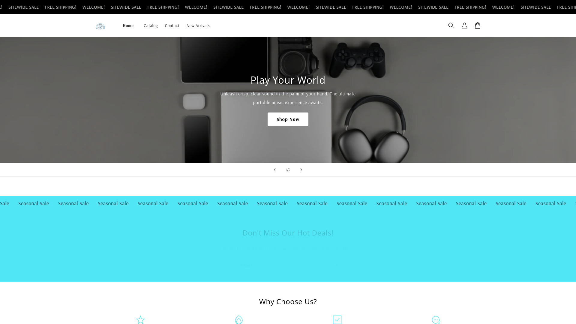 website screenshot of https://petersfitnessandelectronics.store/