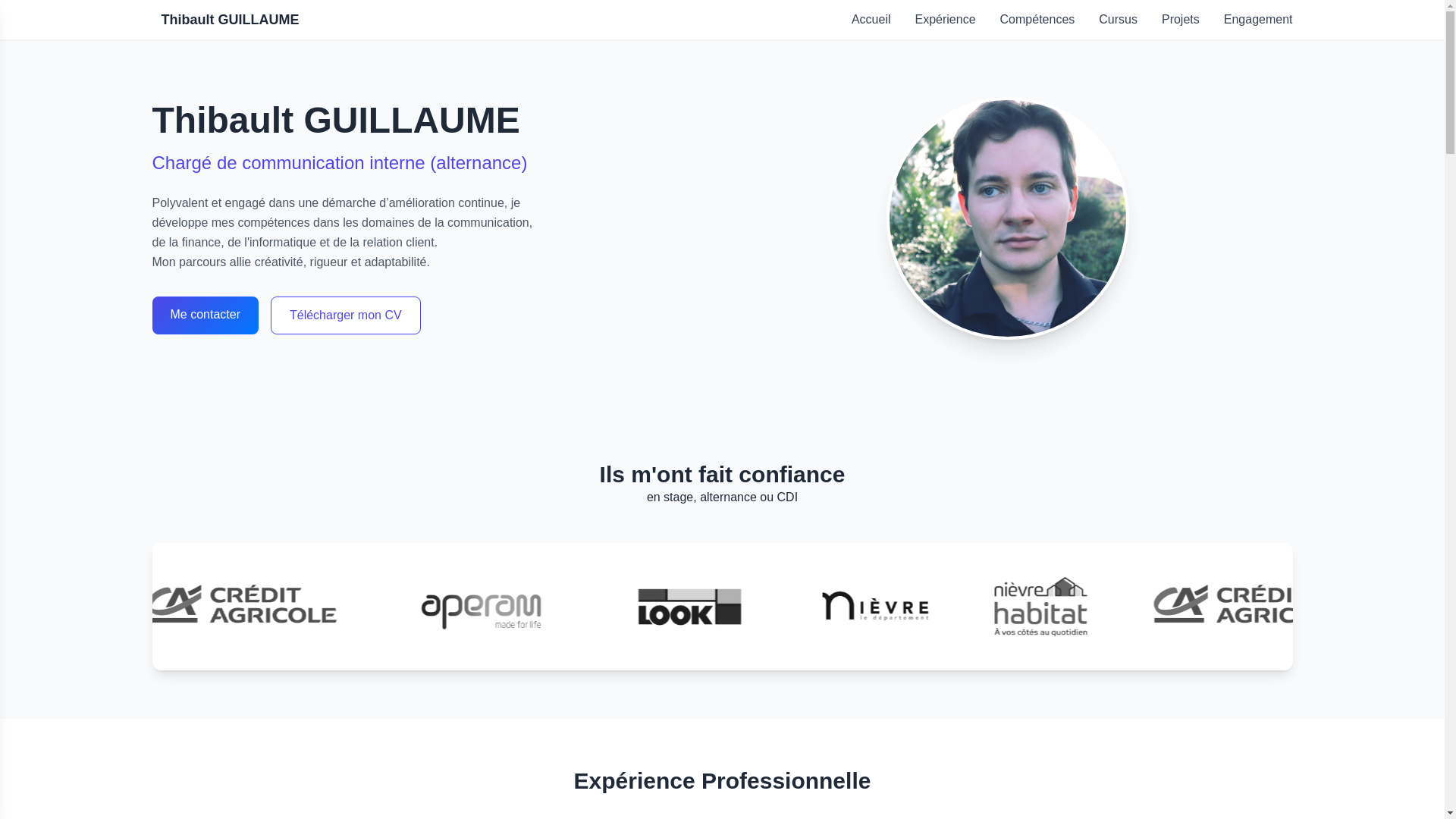website screenshot of https://guillaumethibault.fr/