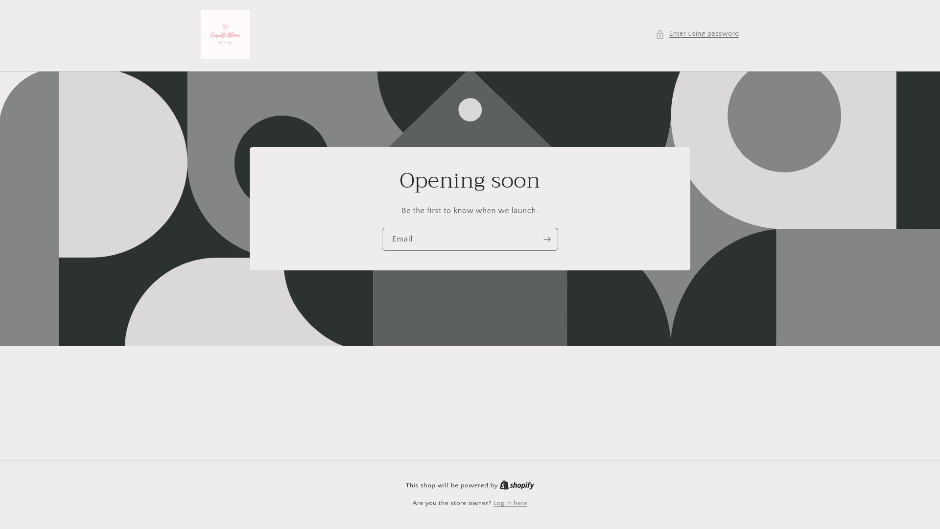 website screenshot of https://coquettebloom.com/