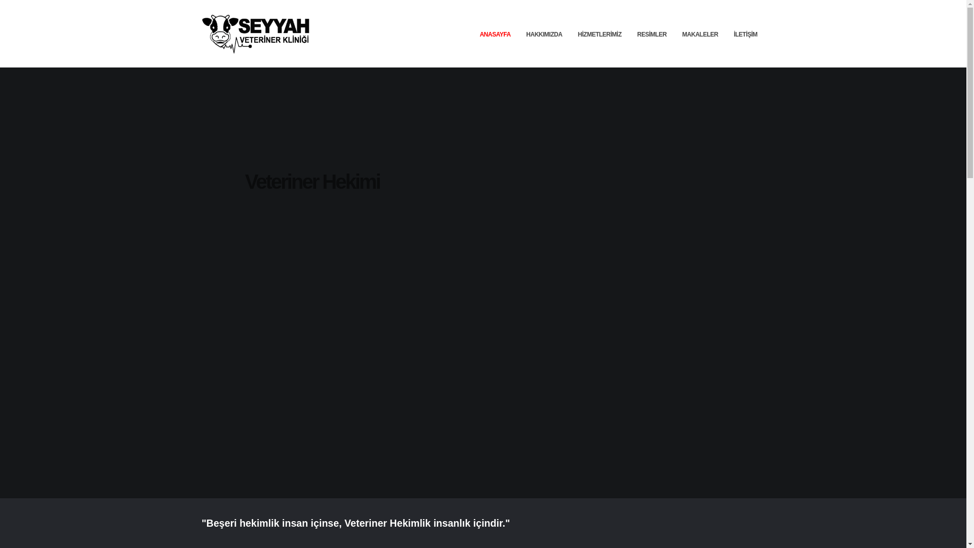 website screenshot of https://seyyahveteriner.com.tr/