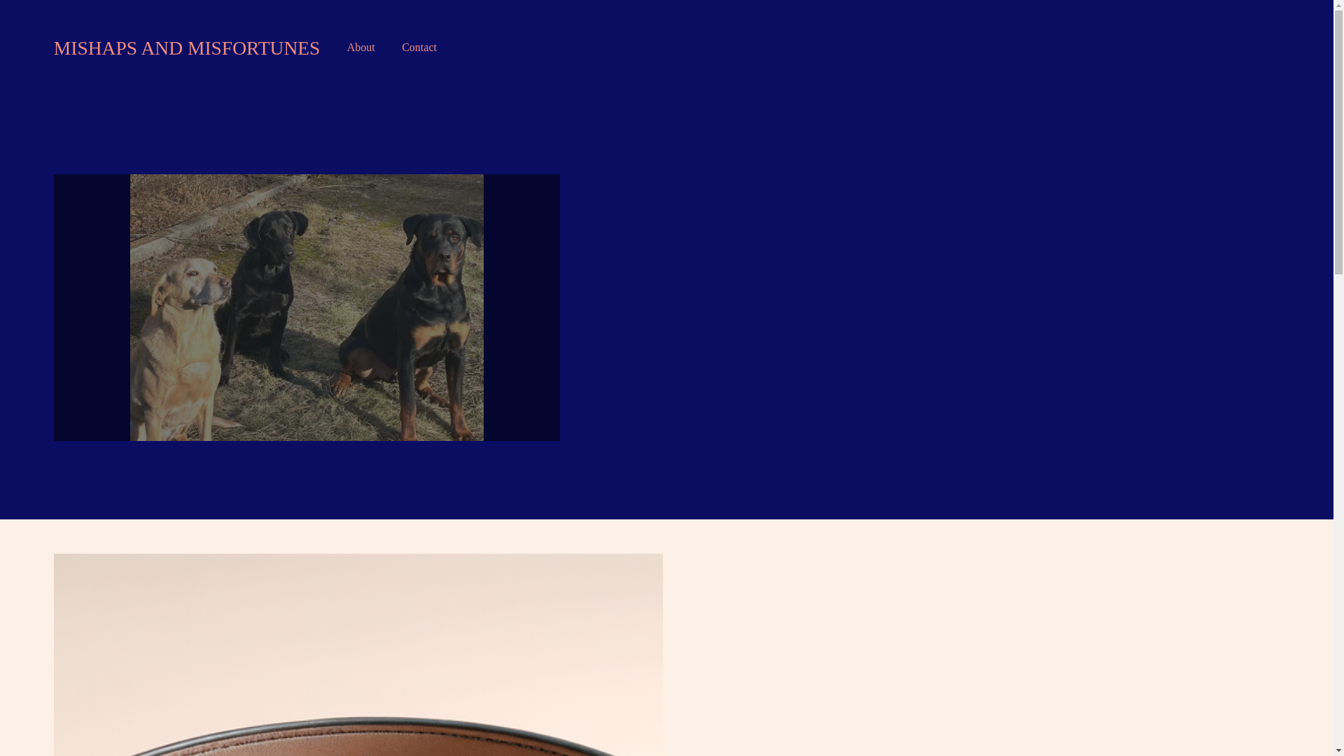 website screenshot of https://mishapsandmisfortunes.com/