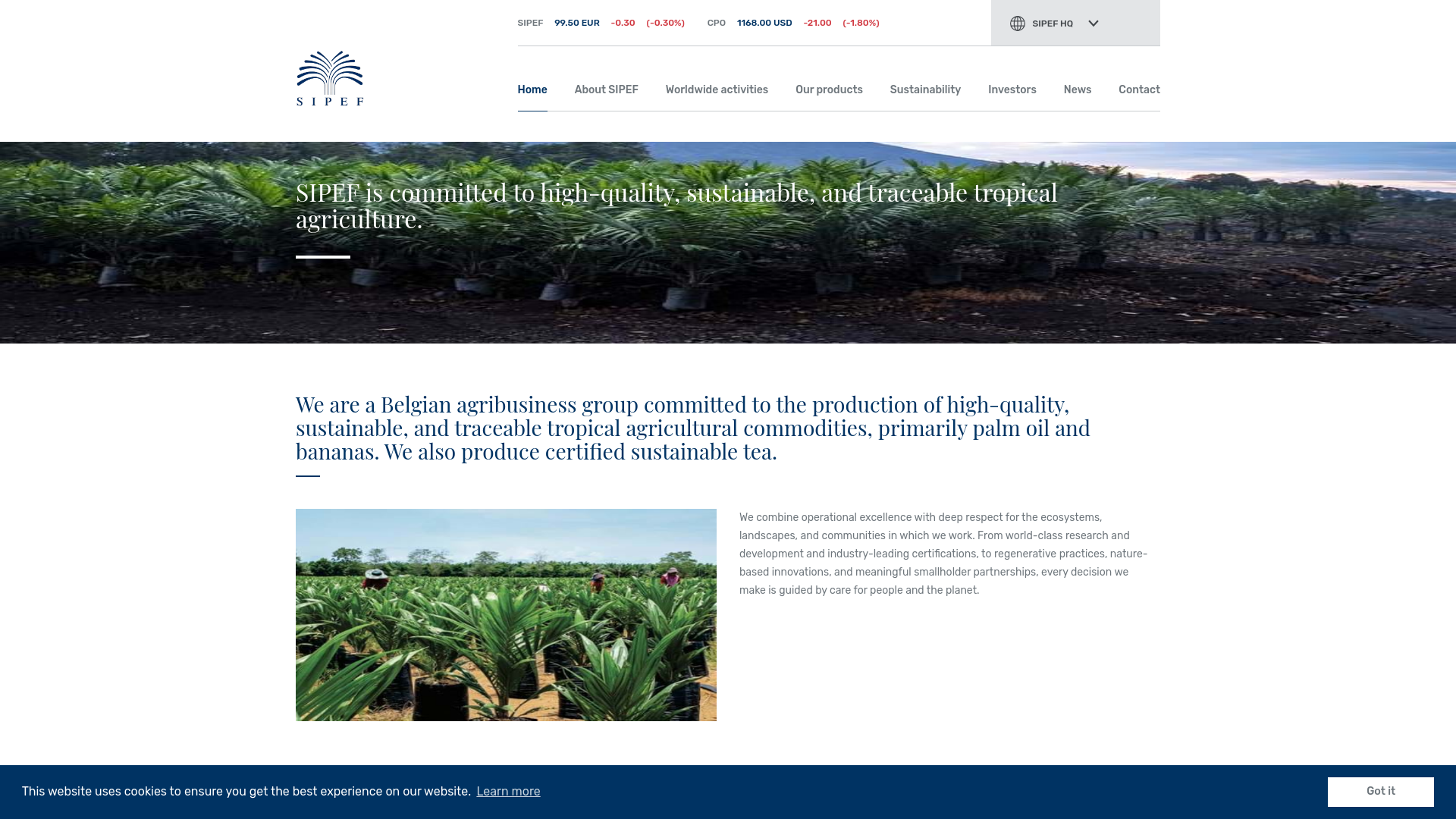 website screenshot of https://sipef.com/