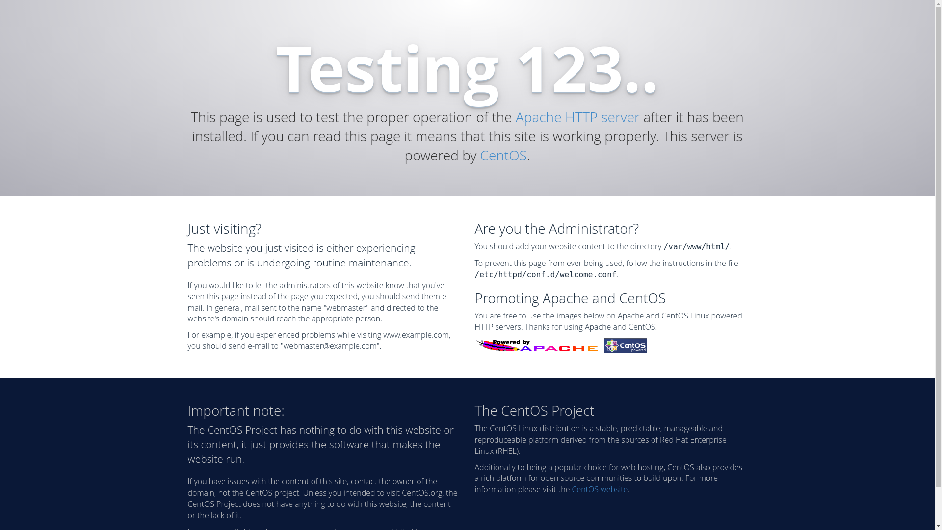 website screenshot of https://whatarethepolicedoinginreading.co.uk/