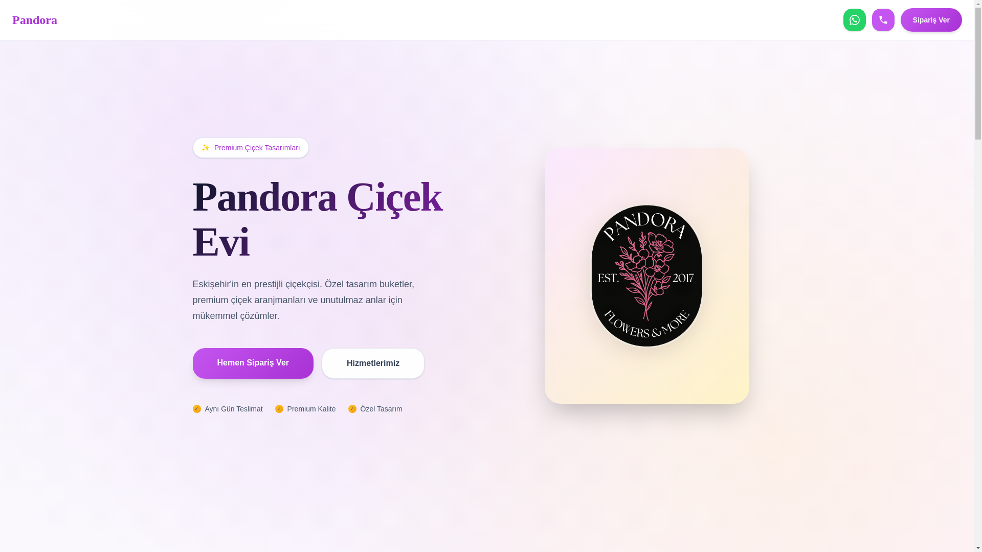 website screenshot of https://pandoracicek.com/