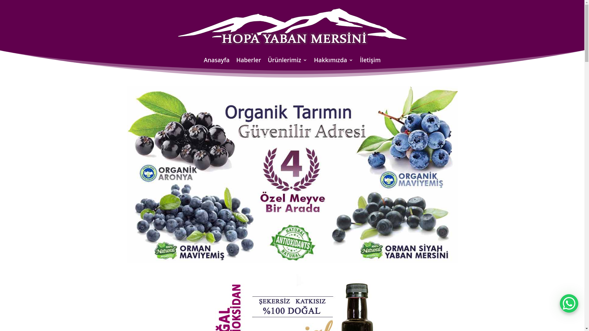 website screenshot of https://organikaronya.com.tr/