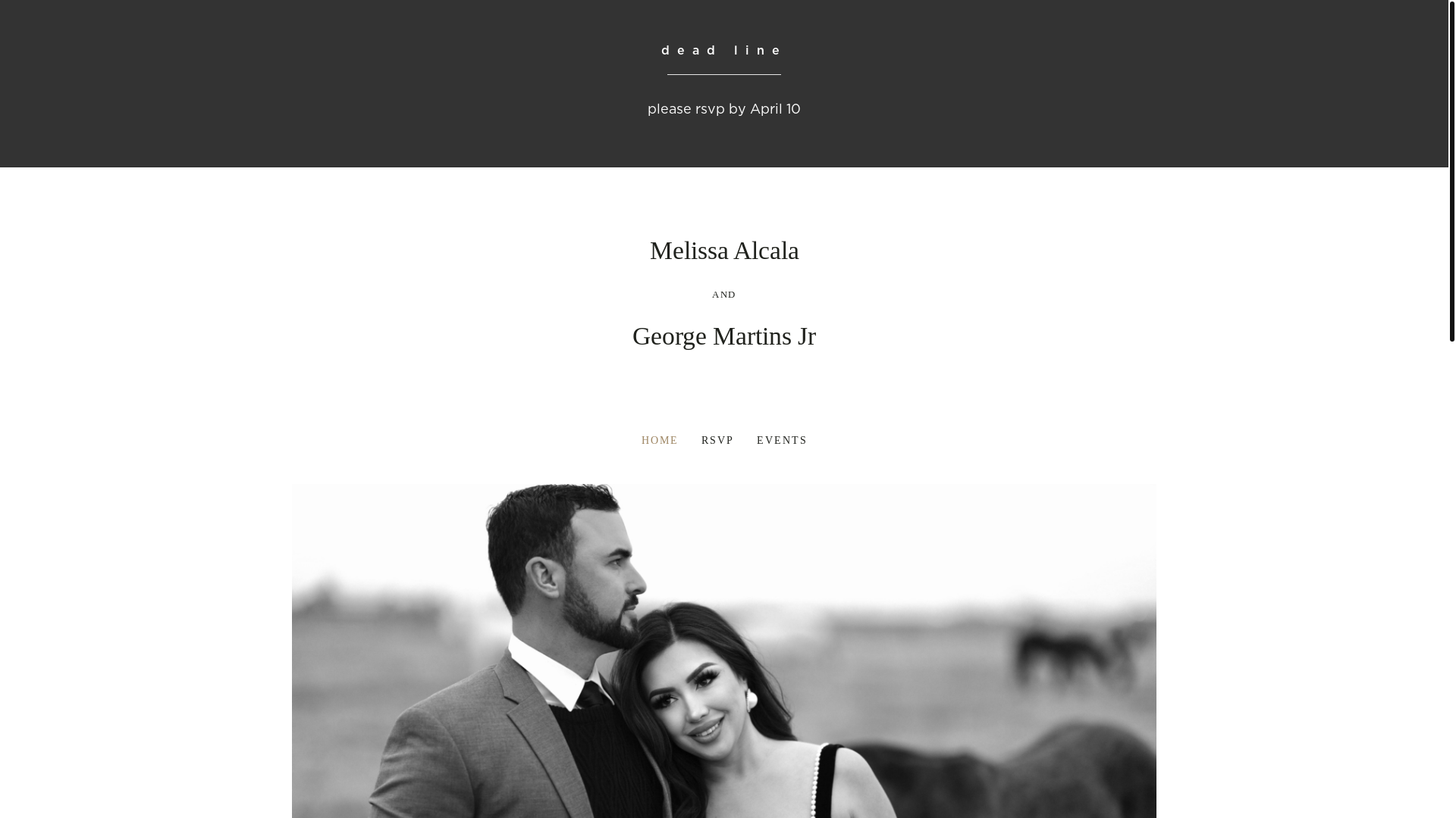 website screenshot of https://finallythemartins.wedding/