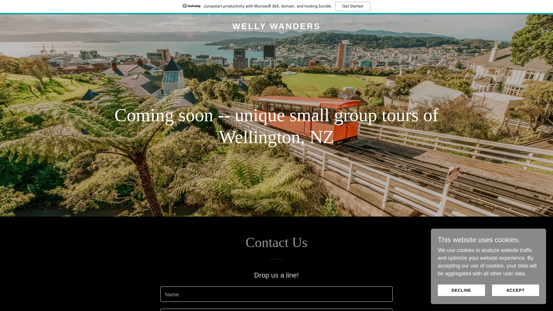 website screenshot of https://wellywanders.co.nz/