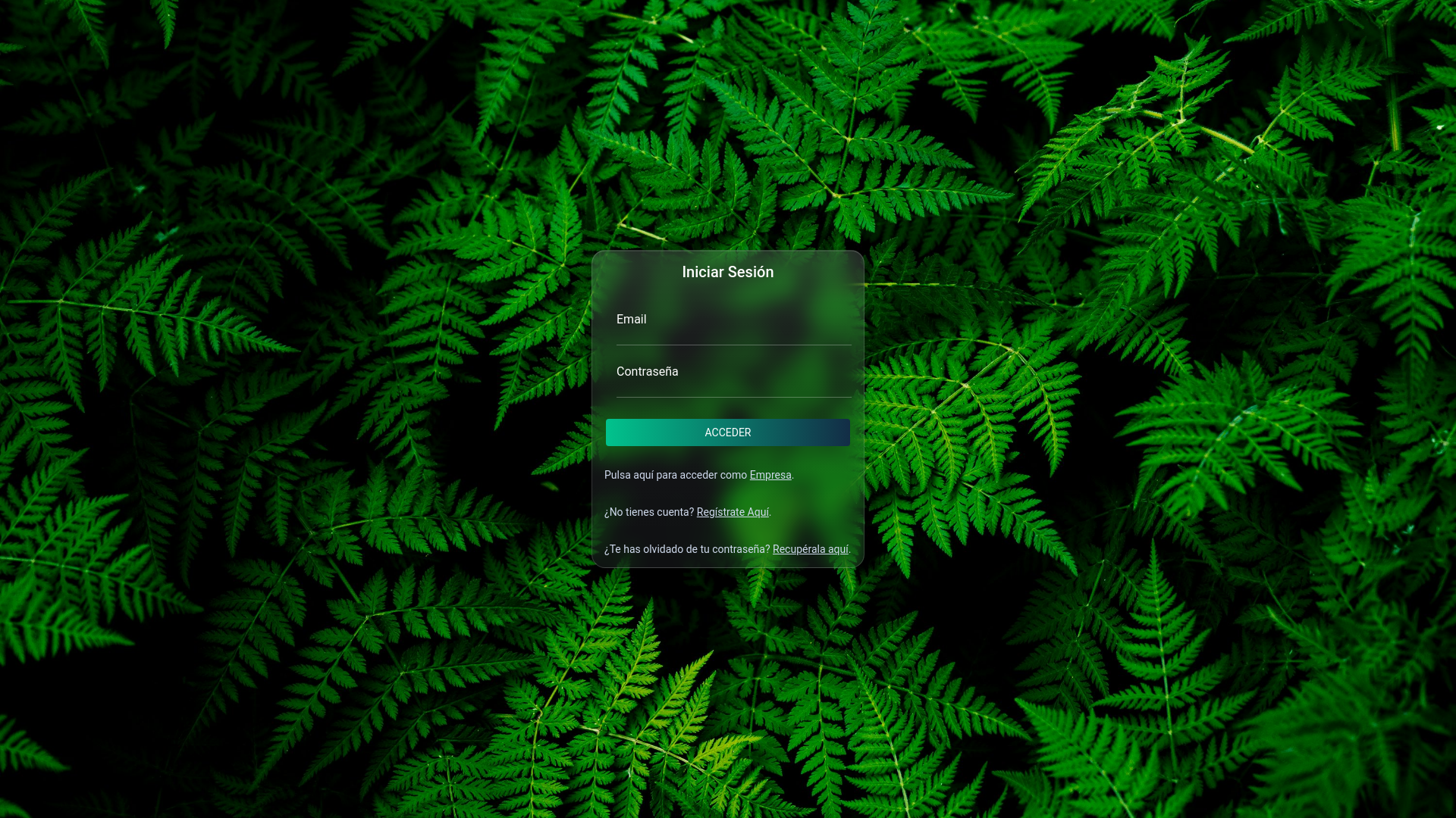 website screenshot of https://domuspace.pages.dev/