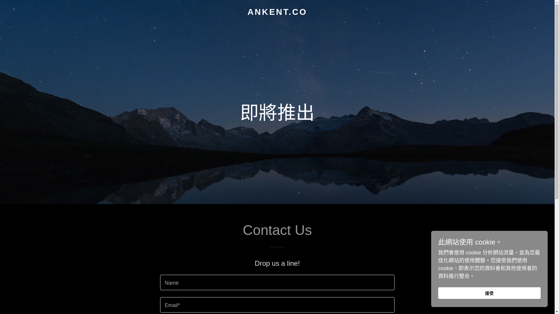 website screenshot of https://ankent.co/