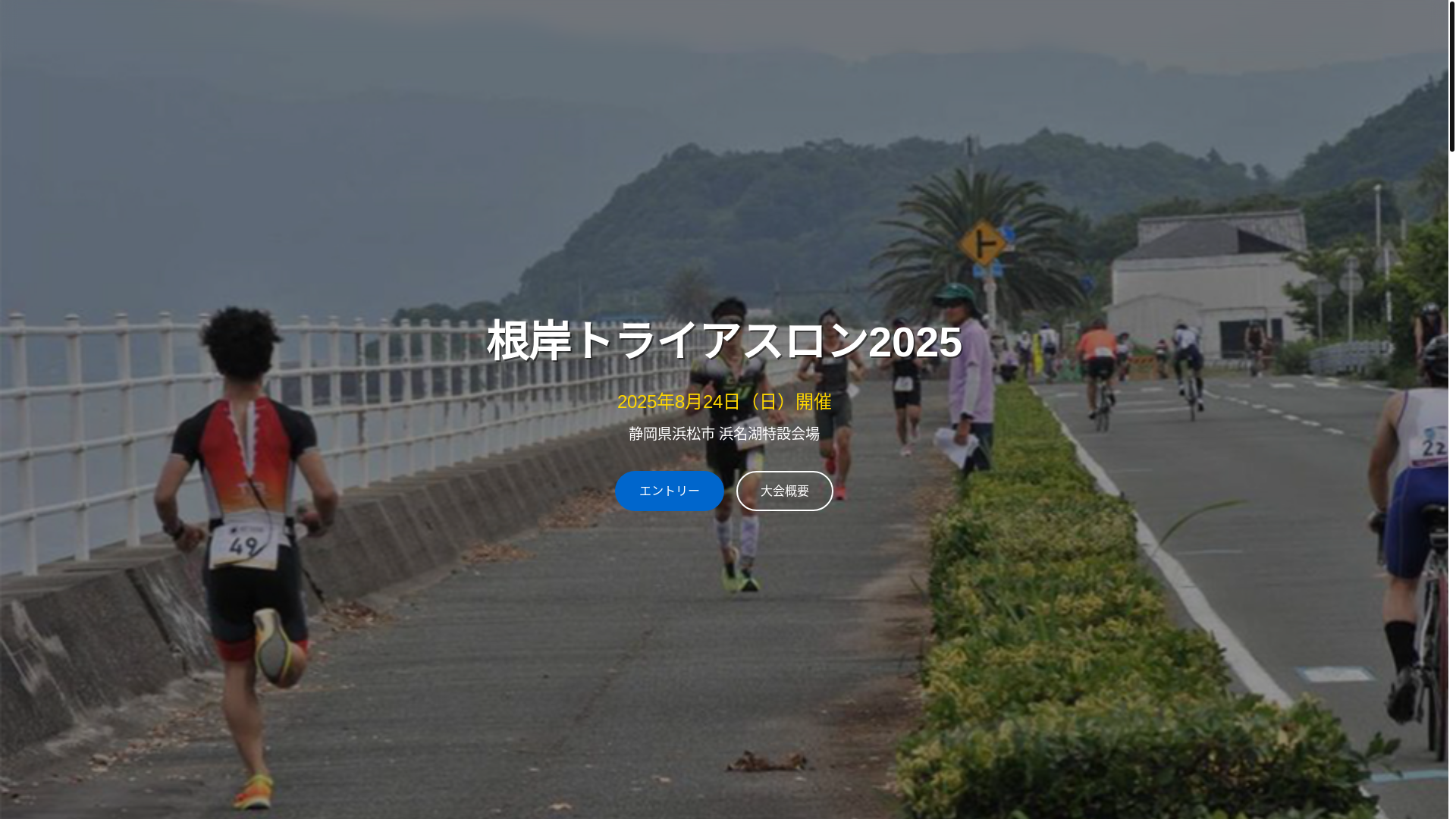 website screenshot of https://negishi-triathron.pages.dev/