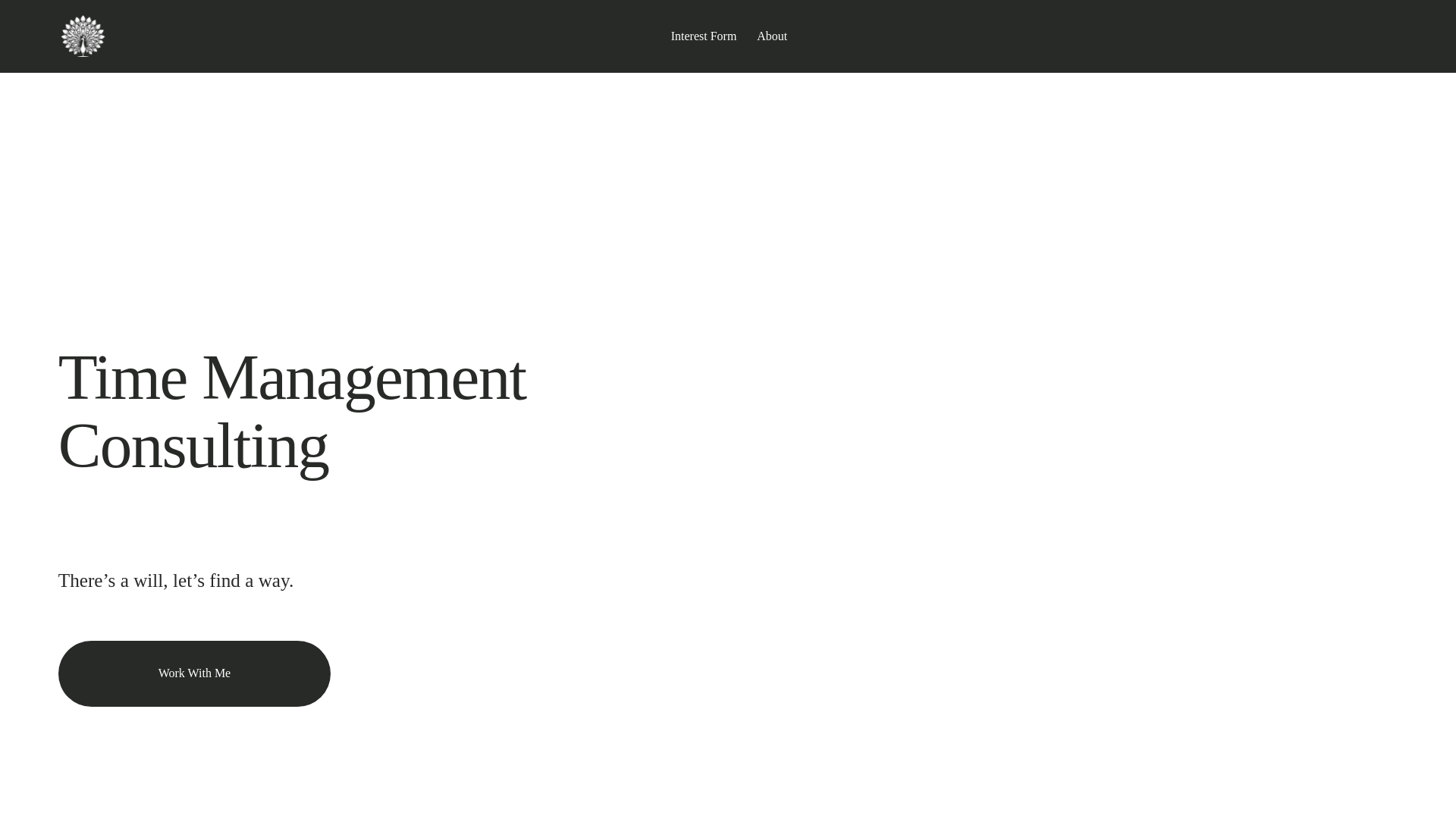 website screenshot of https://ellisonnuseconsultingservices.com