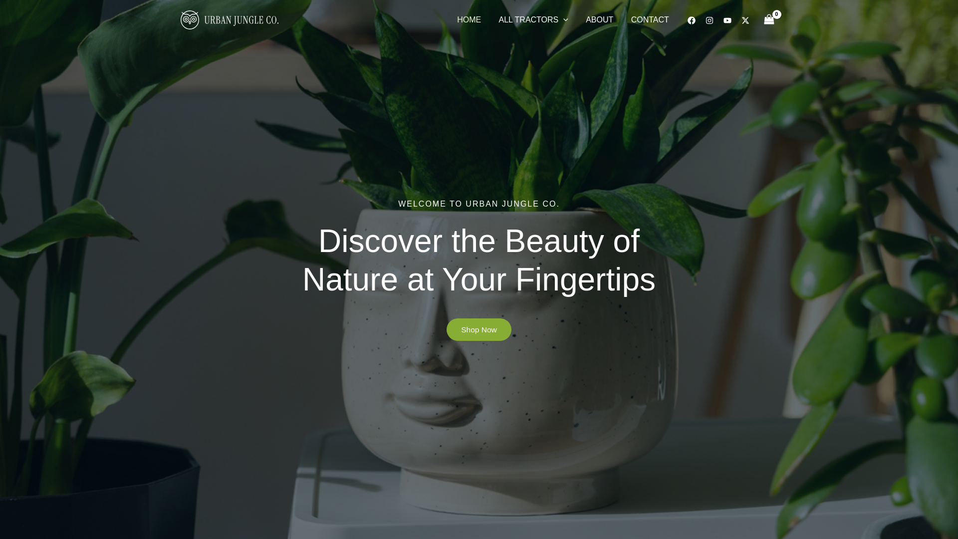 website screenshot of https://macraile.com/