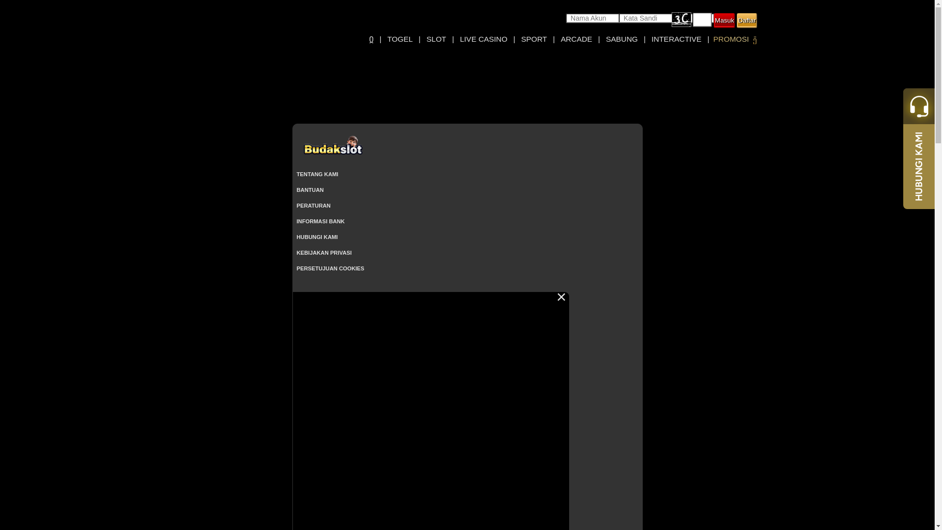 website screenshot of https://budakalternatif6.xyz/