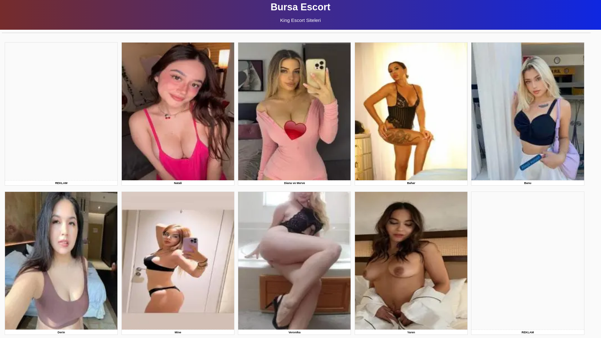 website screenshot of https://bursakinglere.site/