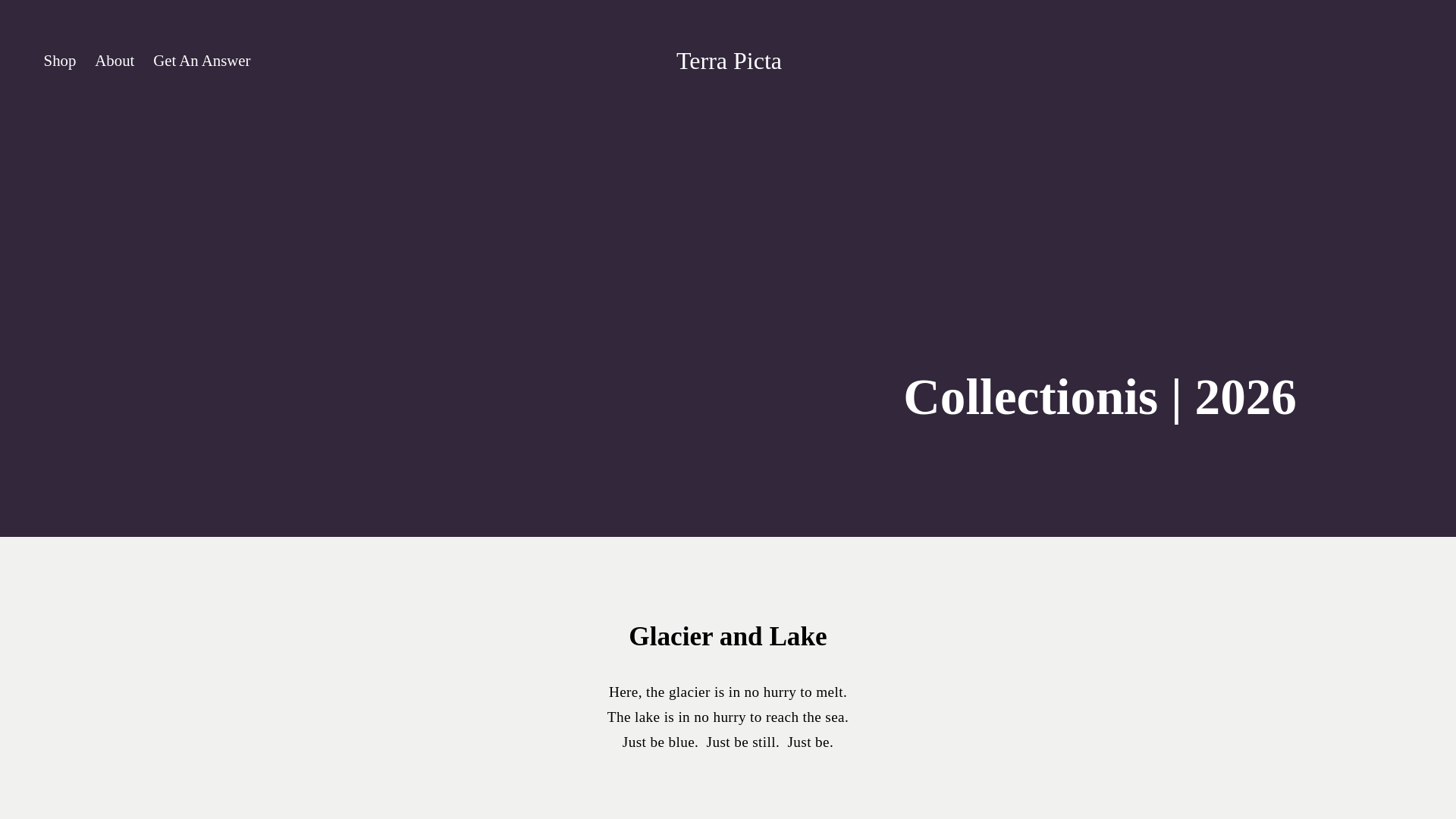 website screenshot of https://terrapicta.studio